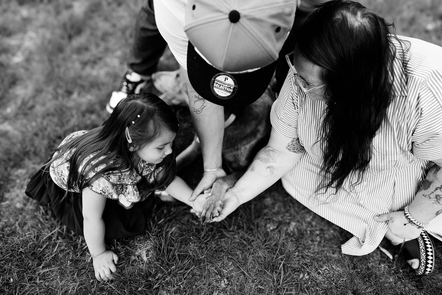 A series of black and white photos showing people playing and interacting with dogs outdoors on grass.