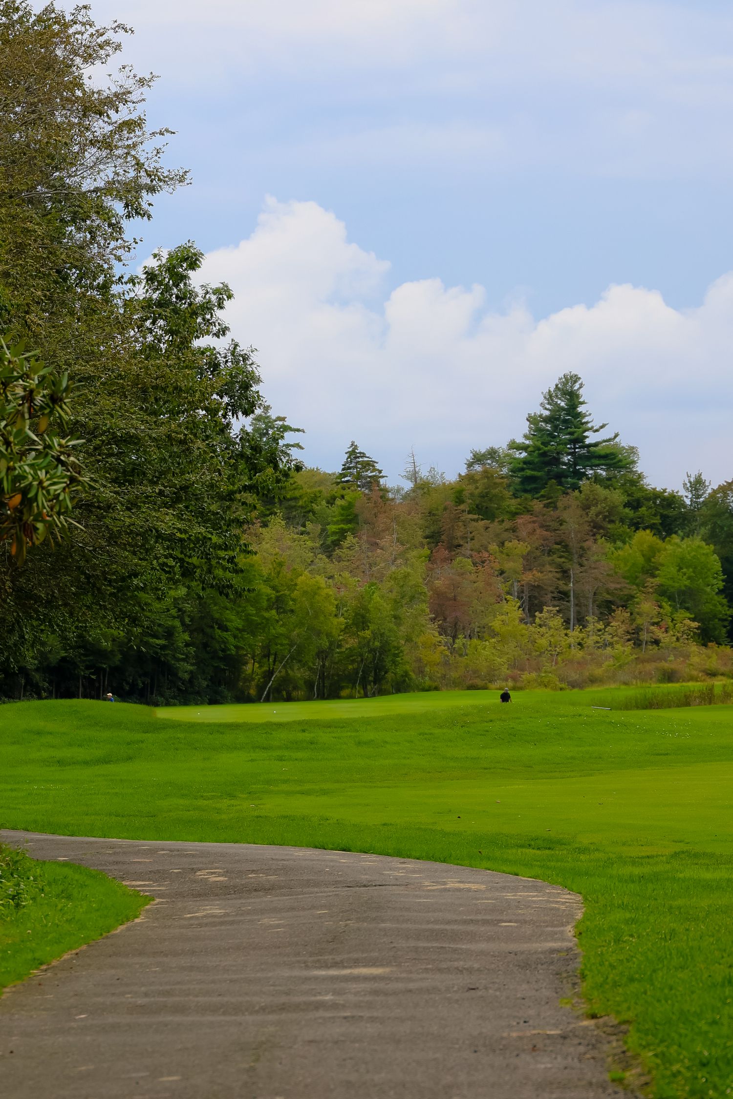 A curved paved path winds through a lush green park with trees and blue sky on a sunny summer day.