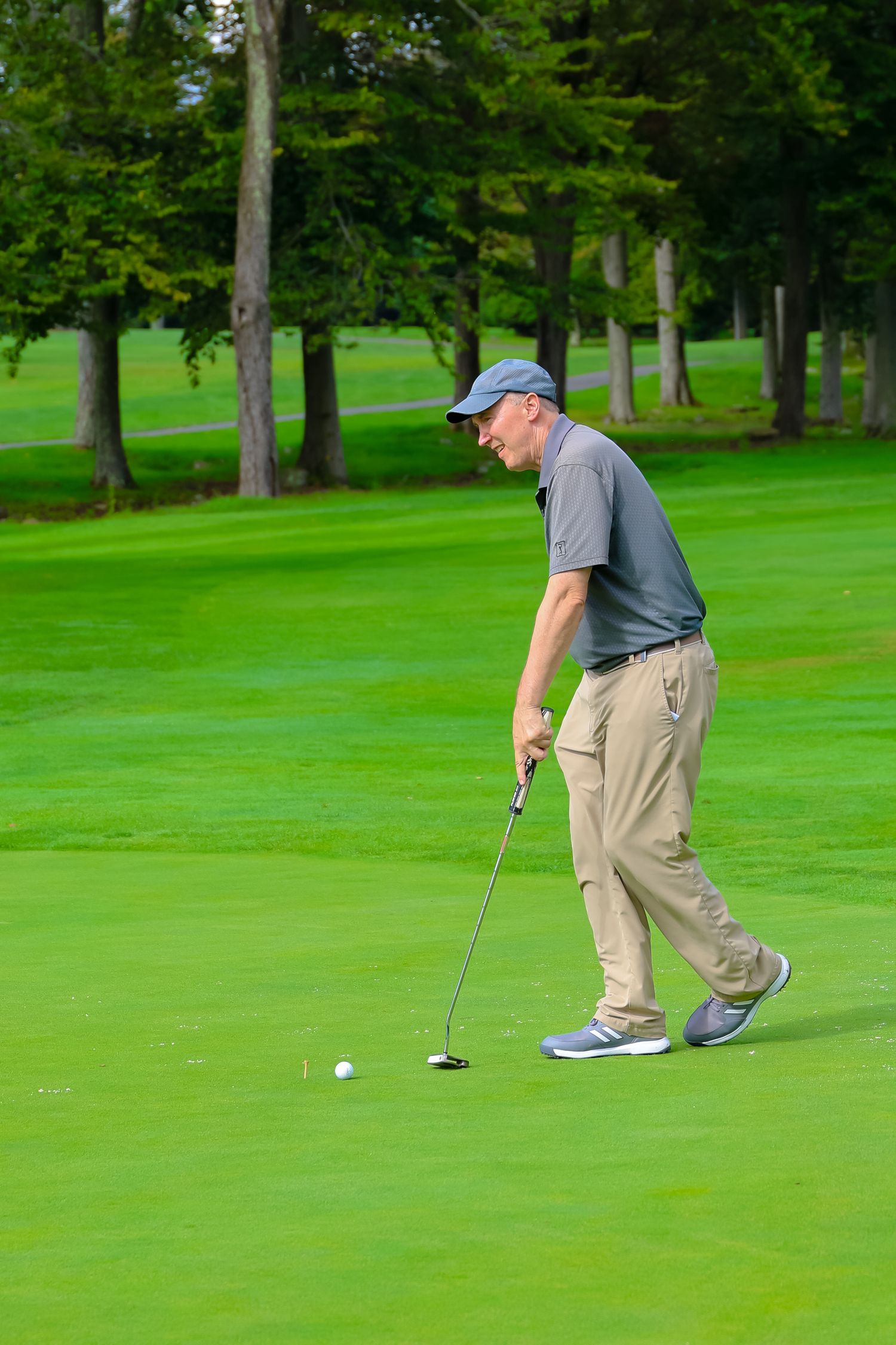 A golfer lines up and putts the ball on a pristine green golf course surrounded by trees.