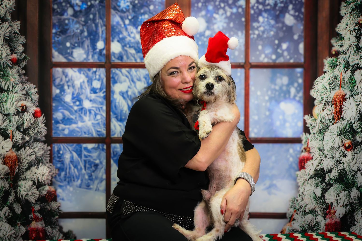 A person in a Santa hat poses with a small white fluffy dog against a festive winter backdrop with snow-covered trees.