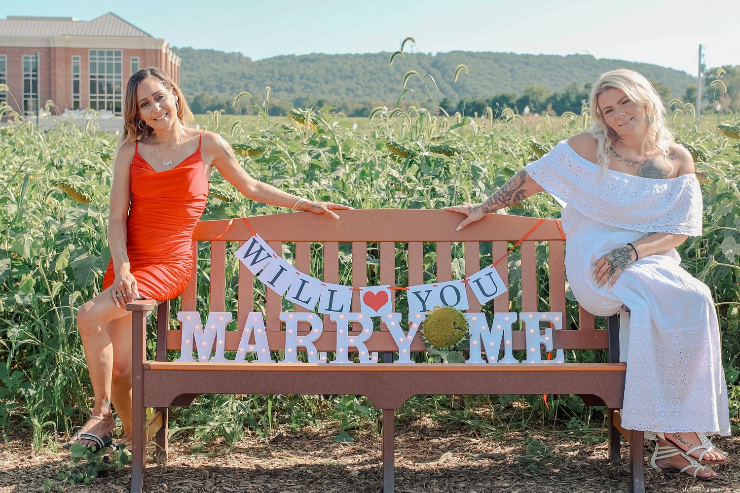 A banner with 'Will you marry me?' text is displayed on a wooden bench in front of a scenic vineyard setting.
