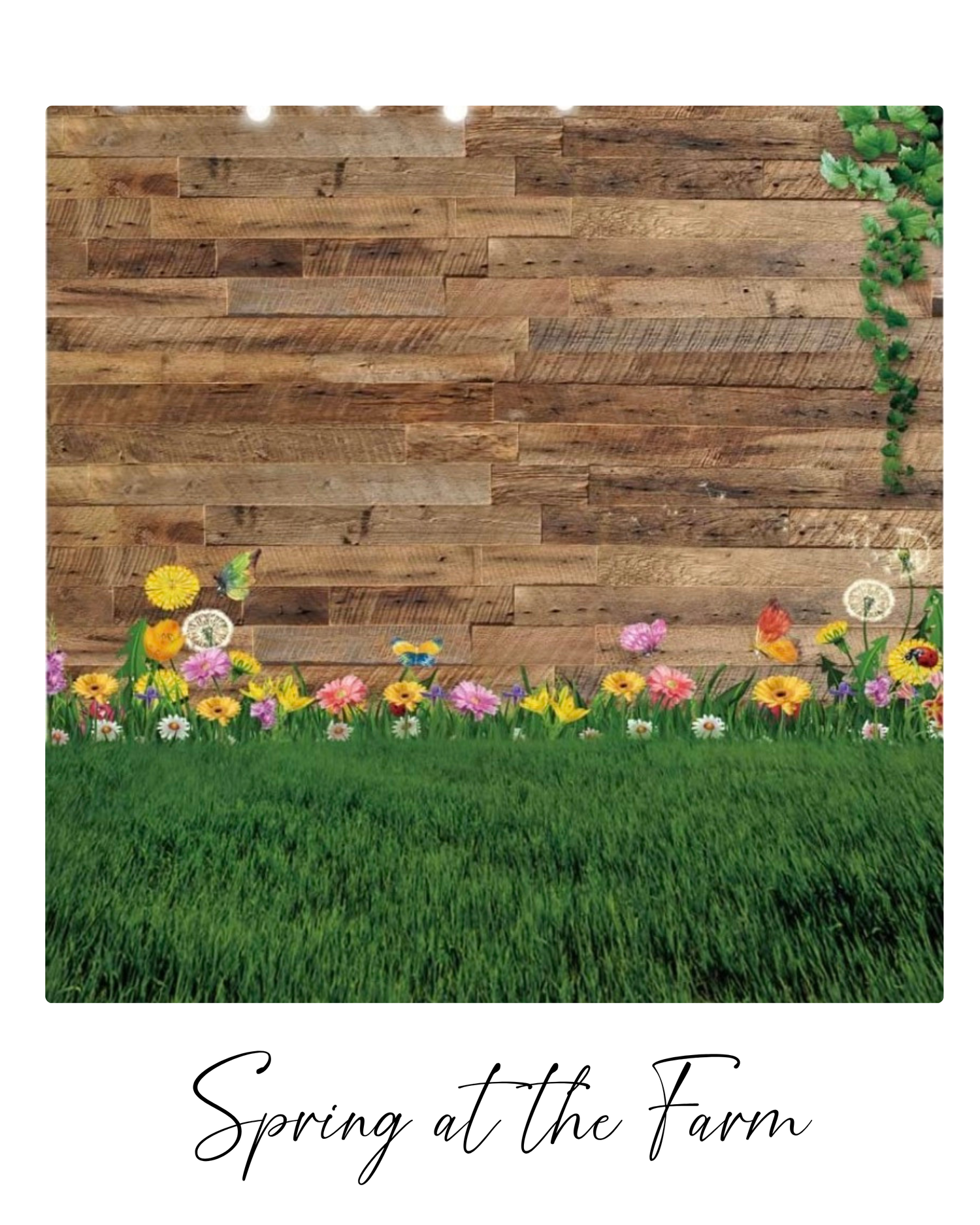 A rustic wooden wall backdrop with colorful spring flowers blooming along a grassy foreground.