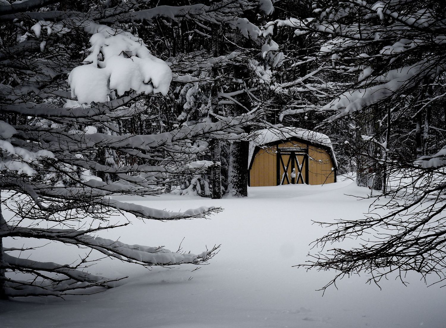 Snow-covered mountain landscape with rustic wooden buildings nestled among evergreen trees in winter.
