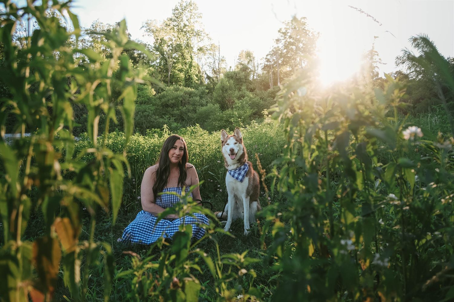 Woman in blue dress sits with Siberian Husky dog in lush green garden field during golden sunset.