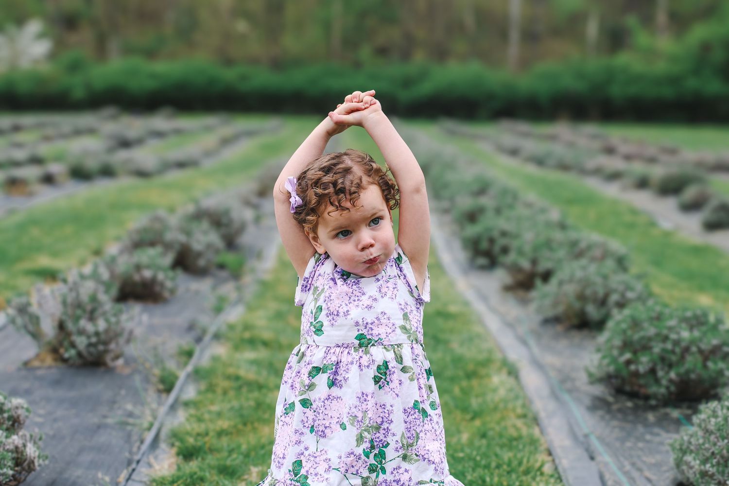 A child in a floral dress twirls playfully in a lavender field during summer.