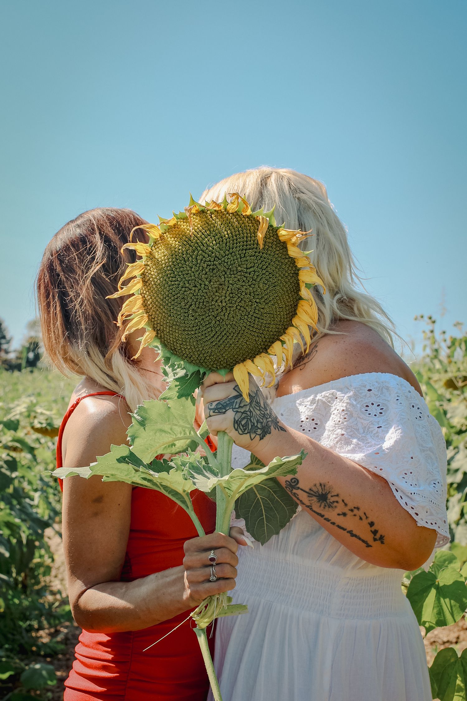 Two people in red and white dresses hold a large sunflower head in front of their faces in a sunny garden setting.
