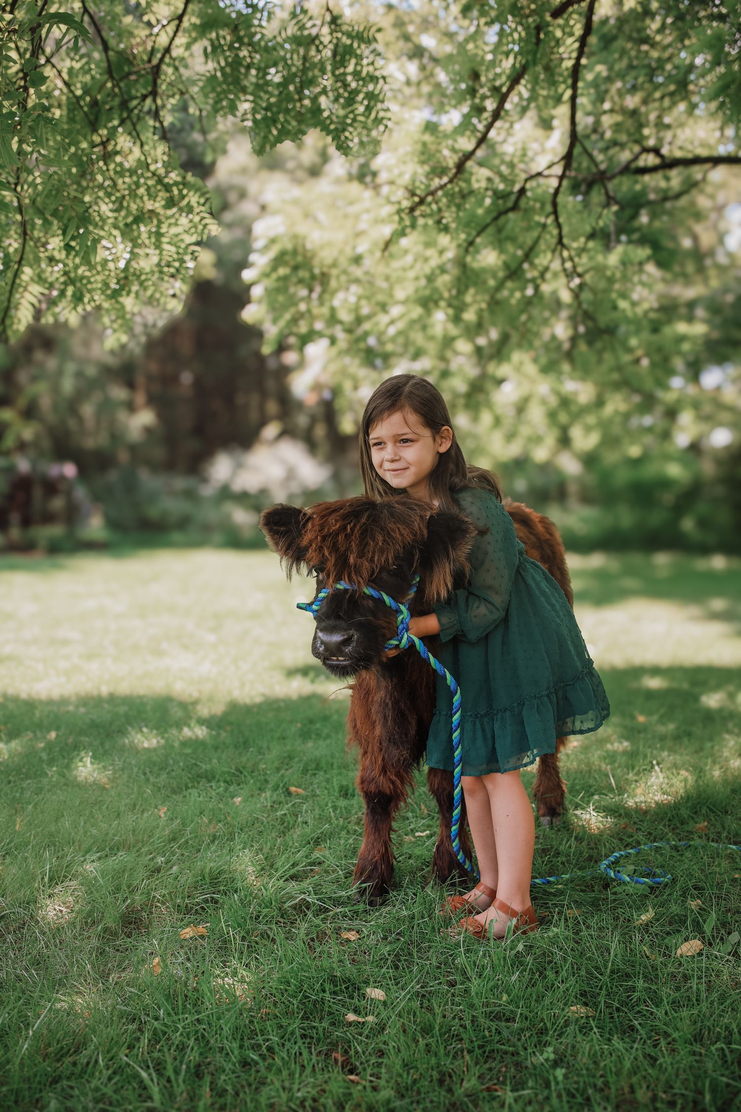 A young person in a green dress plays with a brown Irish setter dog on a grassy hill in dappled sunlight.