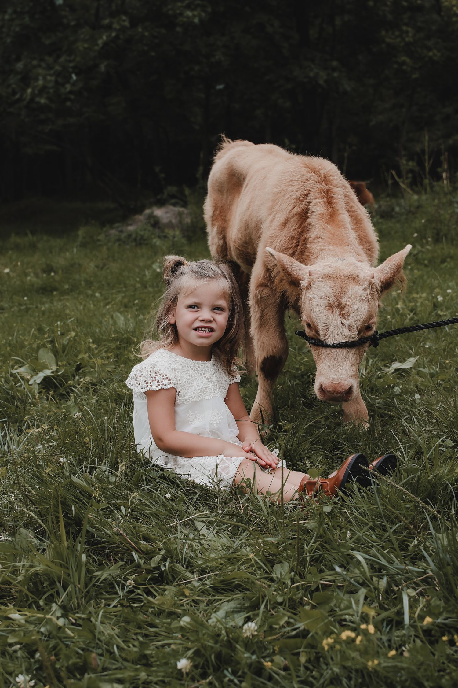 Young child in white dress sitting in grass with a palomino pony on a sunny day.