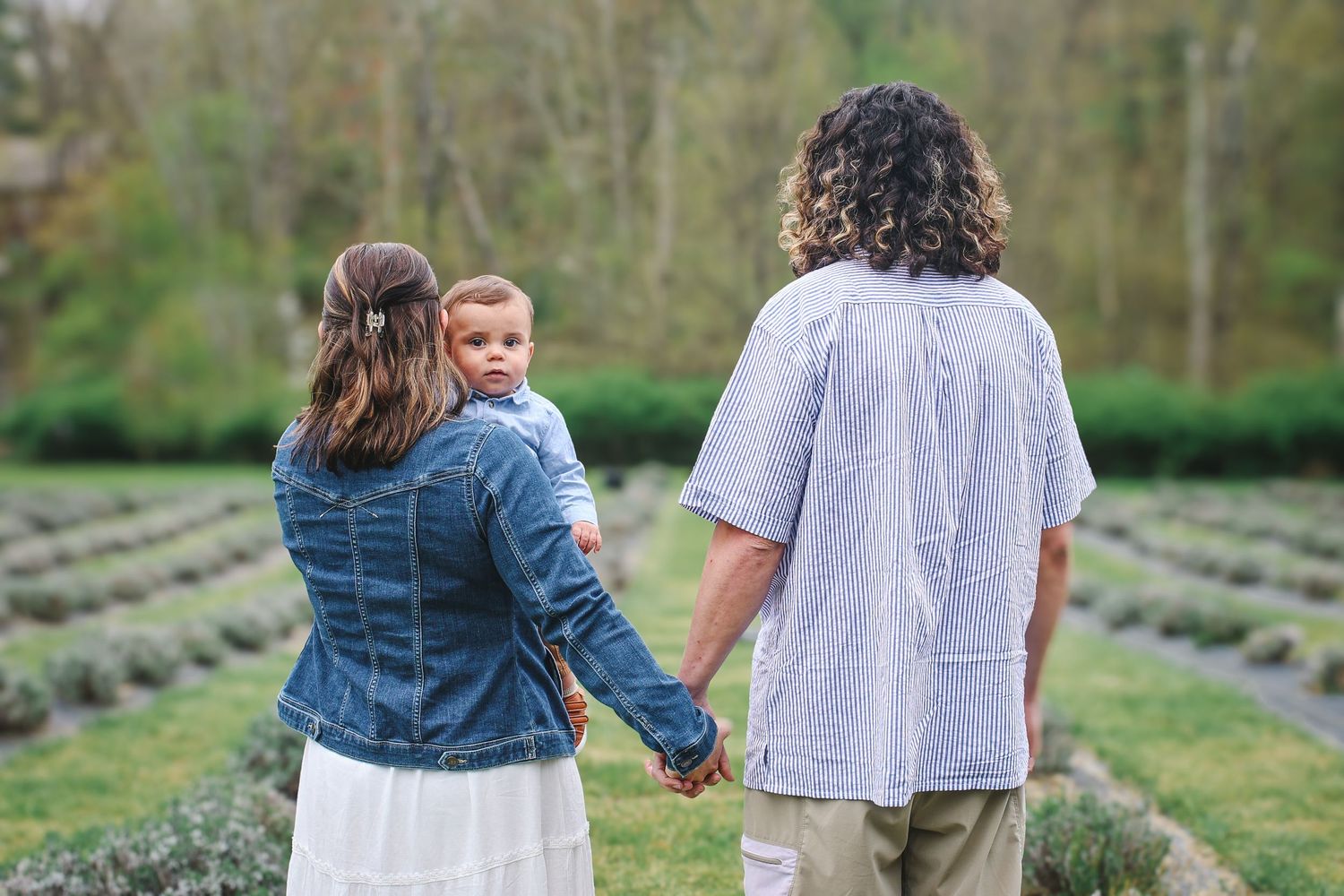 A couple walks hand in hand through a beautiful lavender field on a sunny day.