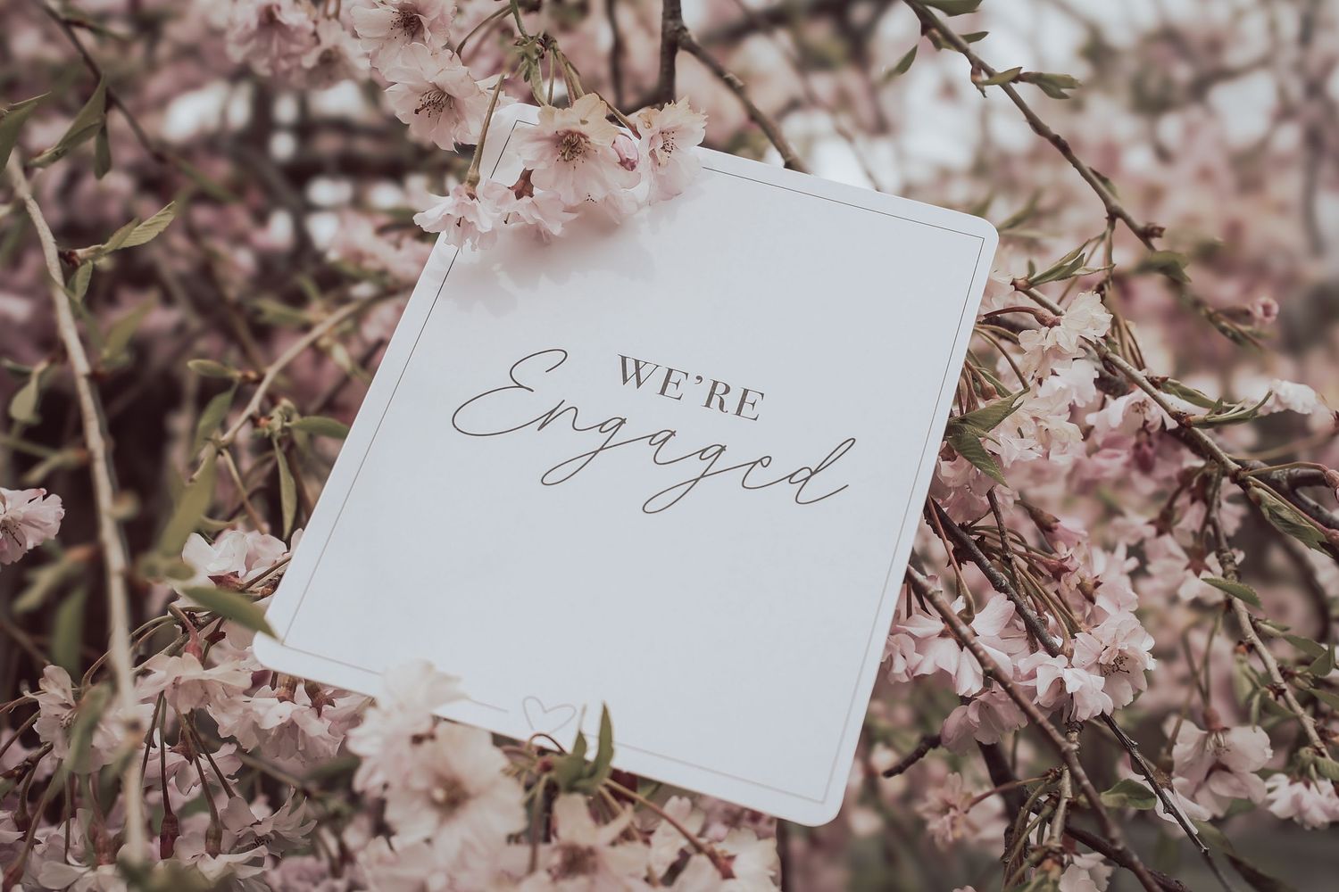 Cherry blossom branches with delicate pink petals frame white paper name cards in a romantic spring setting.