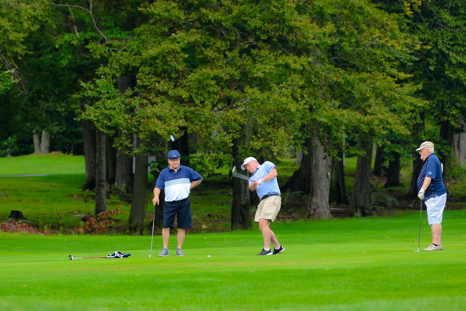 Golfers practicing their putting skills on a lush green course surrounded by tall trees.