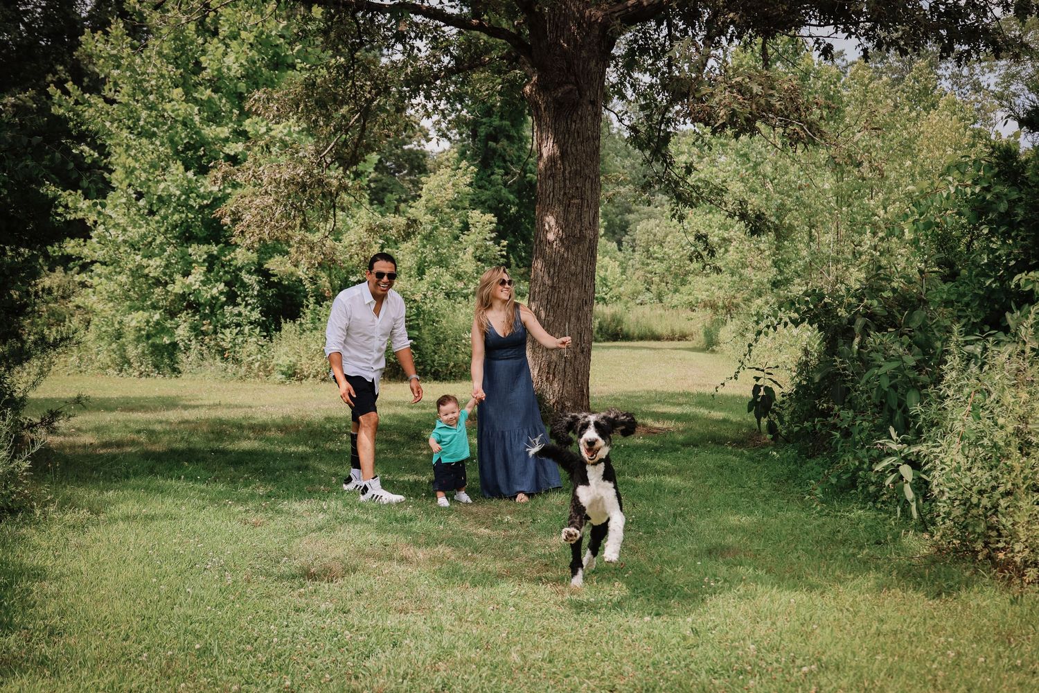People enjoying a sunny day in a lush green park setting with scattered trees and natural lighting.