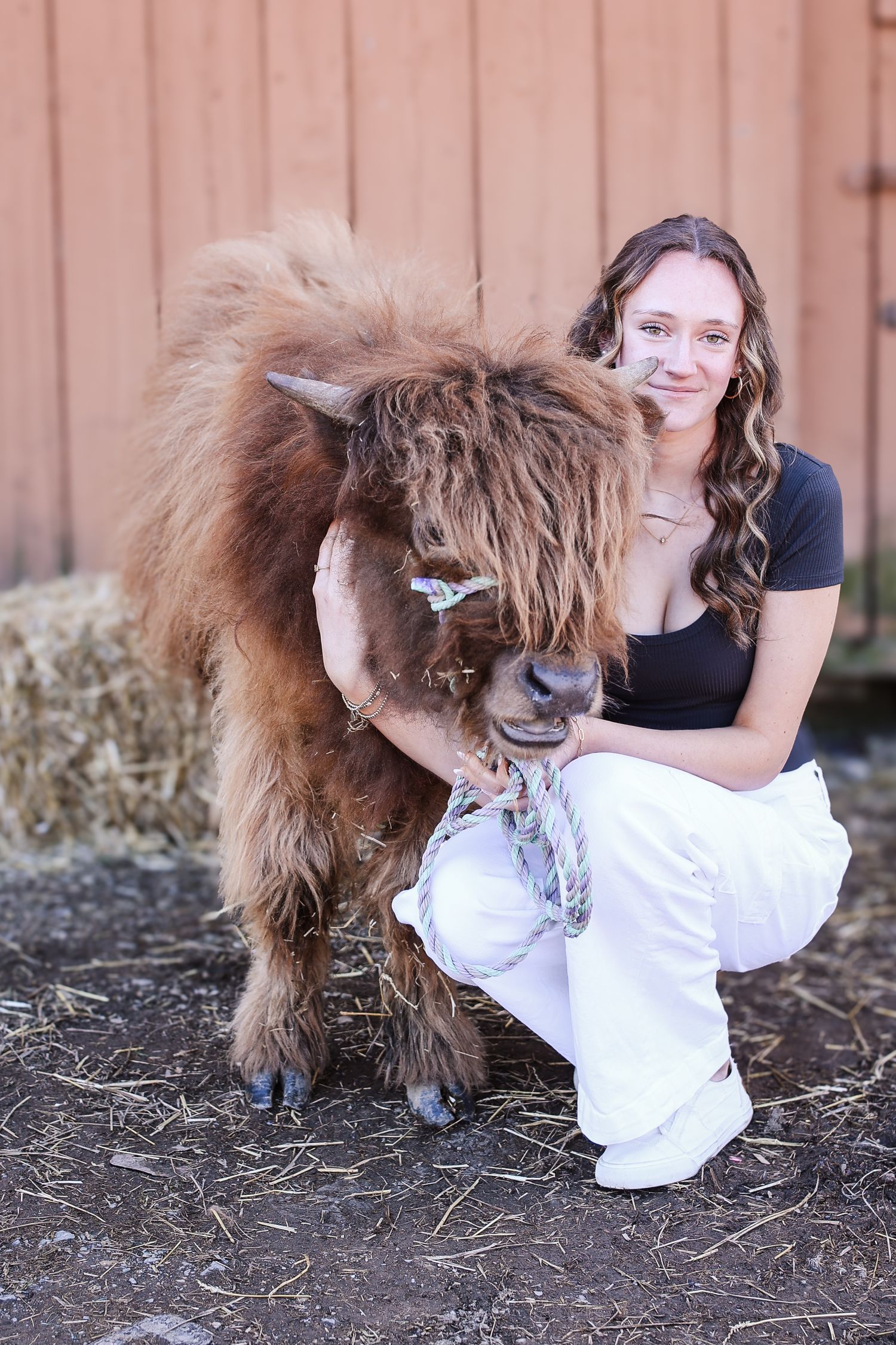 A miniature brown fluffy pony with long hair stands next to someone in white pants against a brown barn wall.