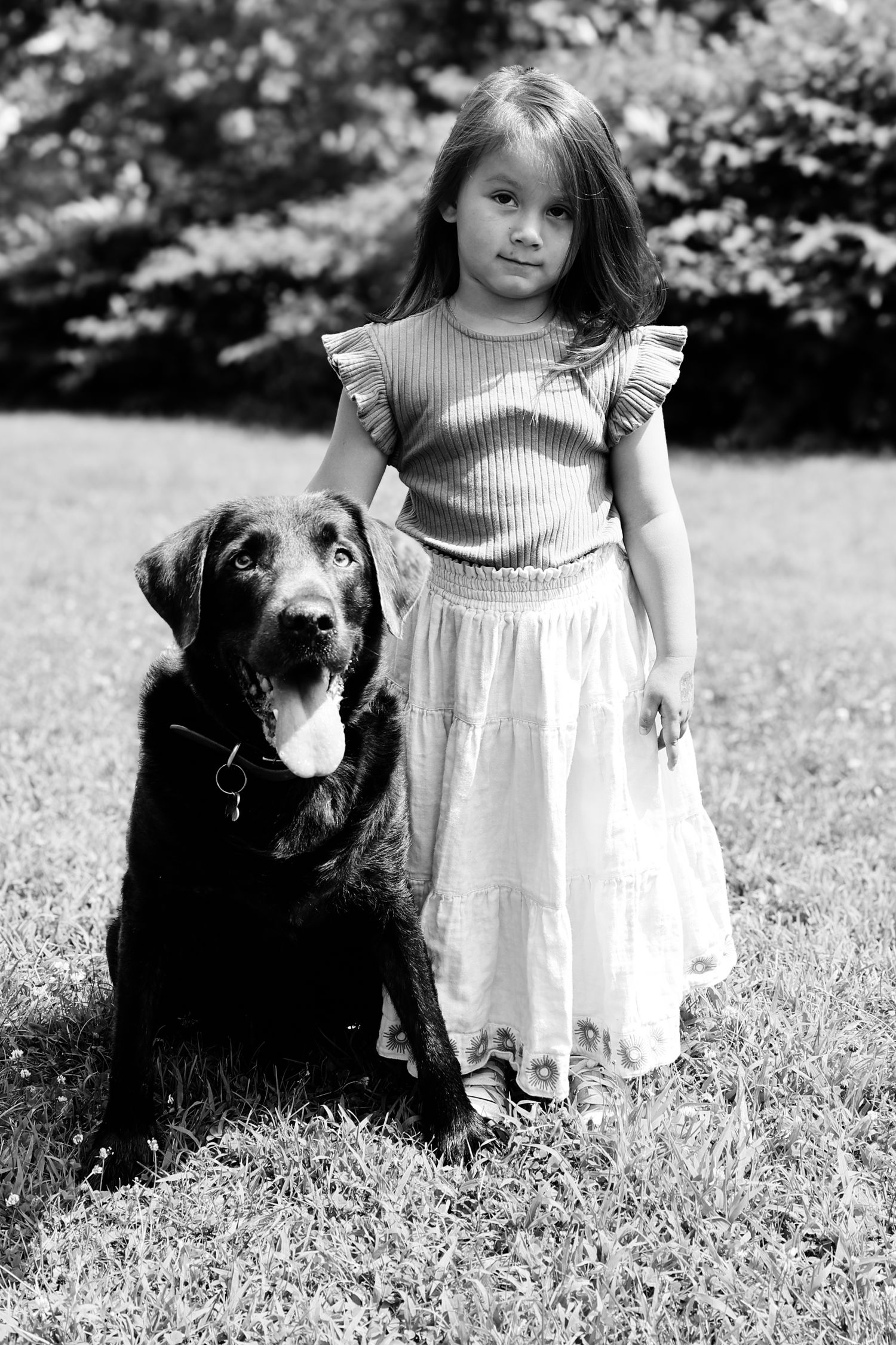 Black and white photo series showing a child in a white dress standing next to a large black dog in a grassy yard.
