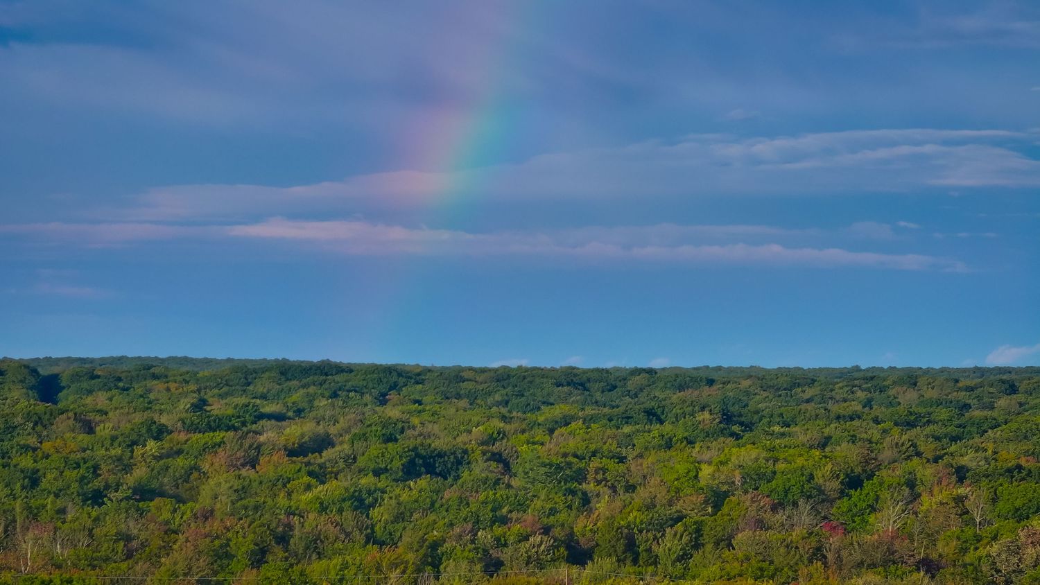 A vibrant rainbow arches over a lush green forest canopy under a partly cloudy blue sky.