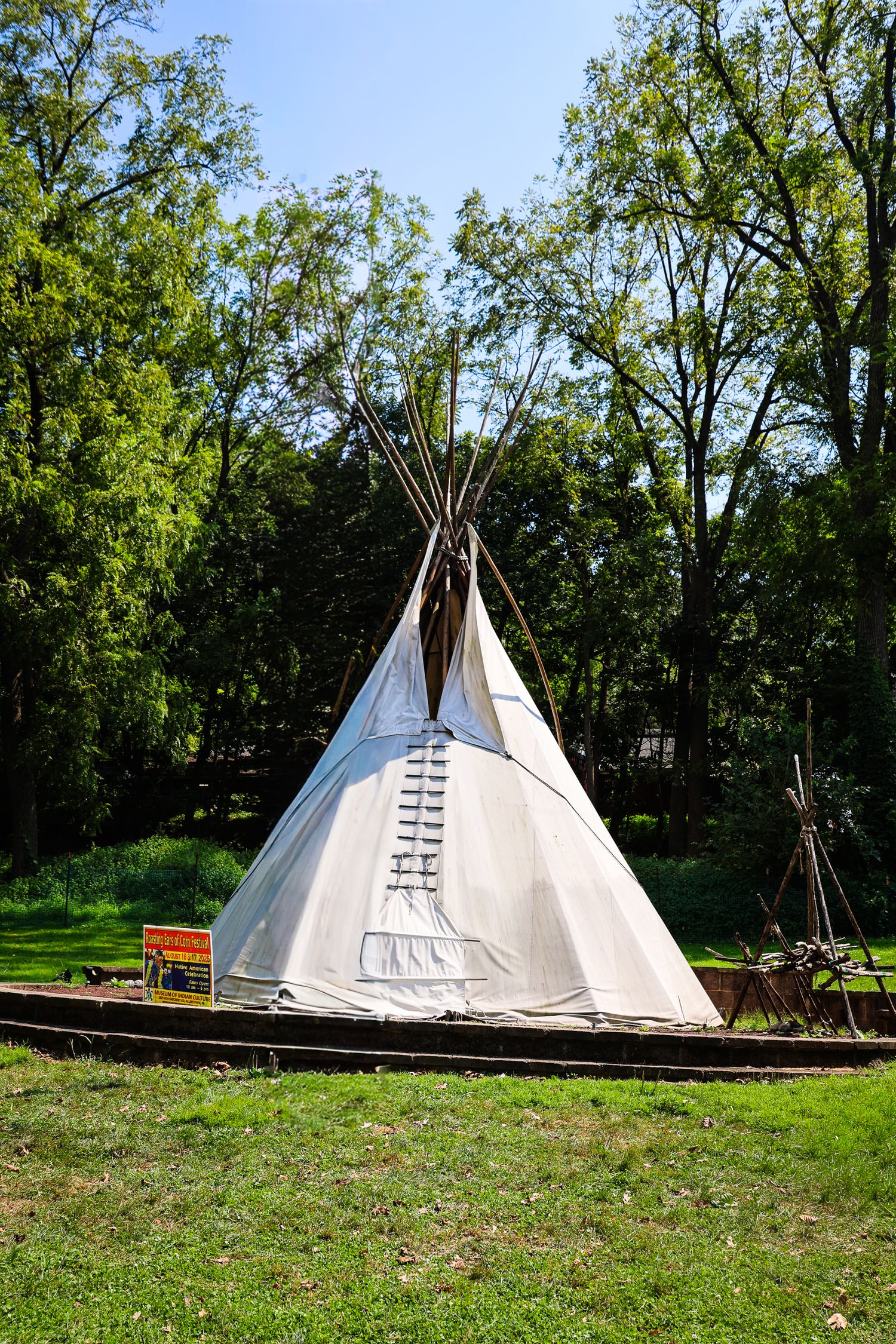 Traditional white teepees set up in a grassy field with trees in the background.