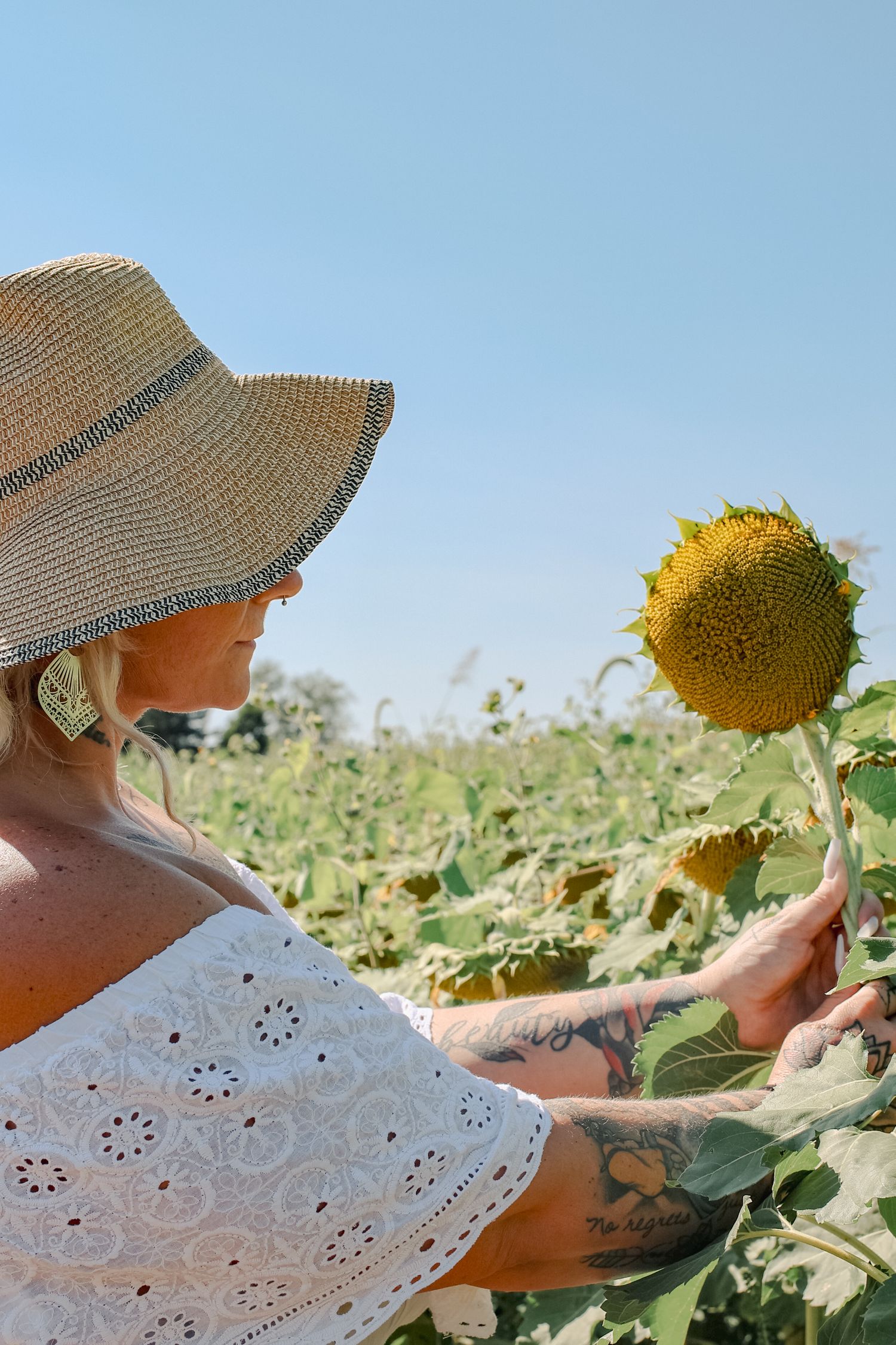 Person wearing a straw hat examines a large yellow sunflower head in a sunny field on a bright summer day.