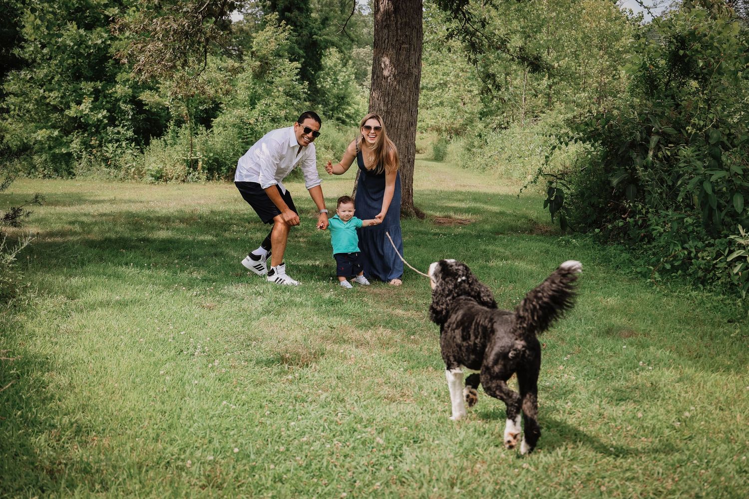 A black and brown dog plays fetch with a ball in a grassy park setting.