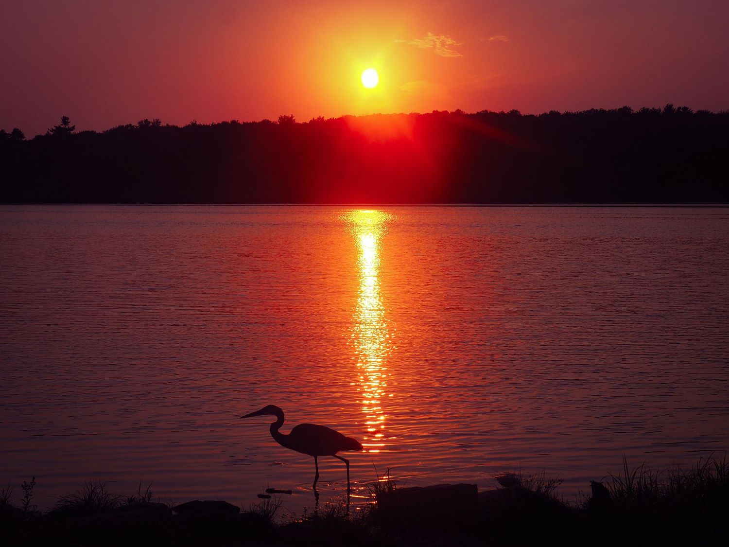 Stunning orange and red sunset over calm water creates glowing reflections with silhouette of a heron in the foreground.