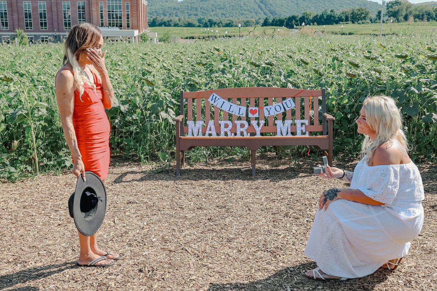 A marriage proposal scene unfolds in a green agricultural field with a 'Marry Me' sign visible in the background.