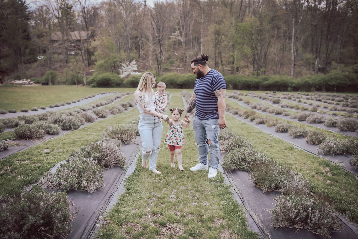 A scenic lavender field with walking paths and visitors enjoying a sunny spring day at a flower farm.
