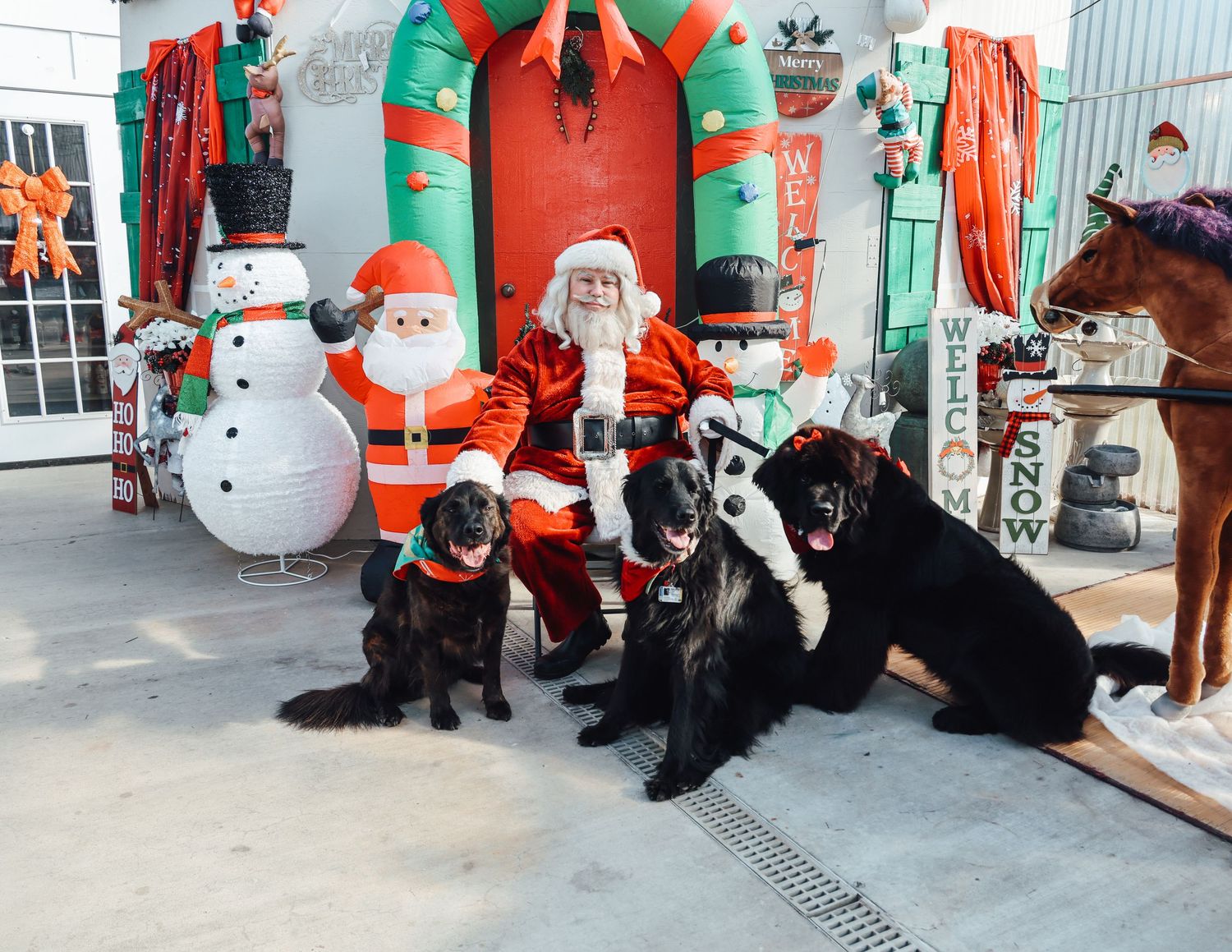 Inflatable Christmas decorations including Santa Claus, snowmen, and other holiday figures lined up against a wall.