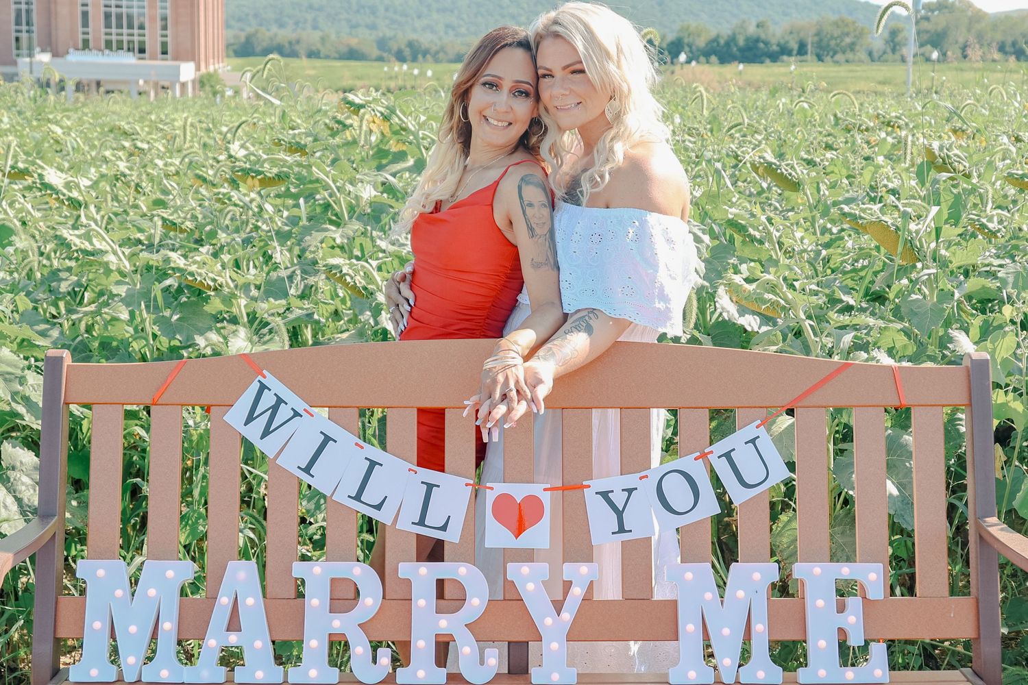 A romantic outdoor photo session in a field with letter banners spelling out 'Will You Marry Me' on a wooden bench.