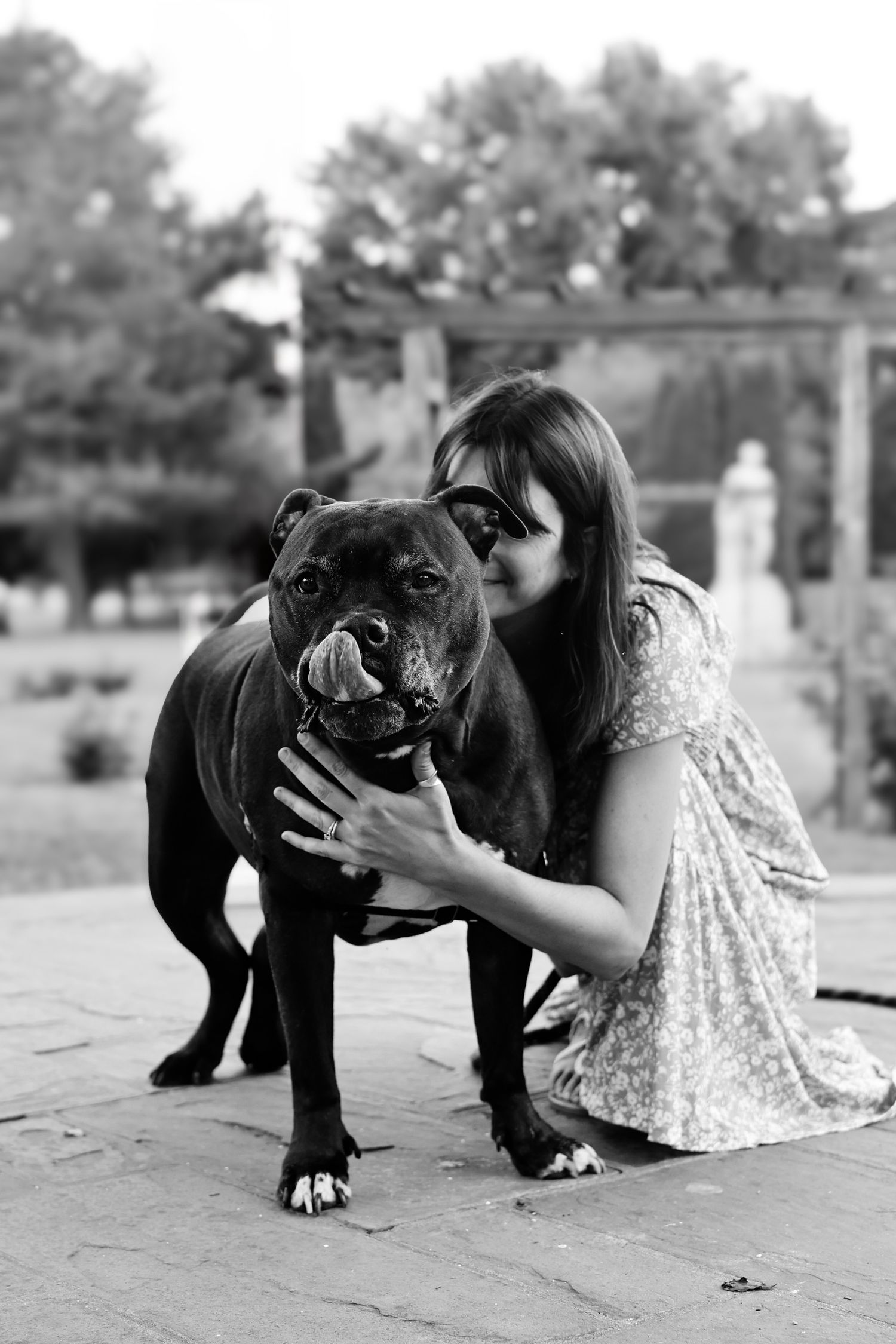 Black and white photo of a woman in a floral dress embracing a muscular English Bulldog on a stone patio.