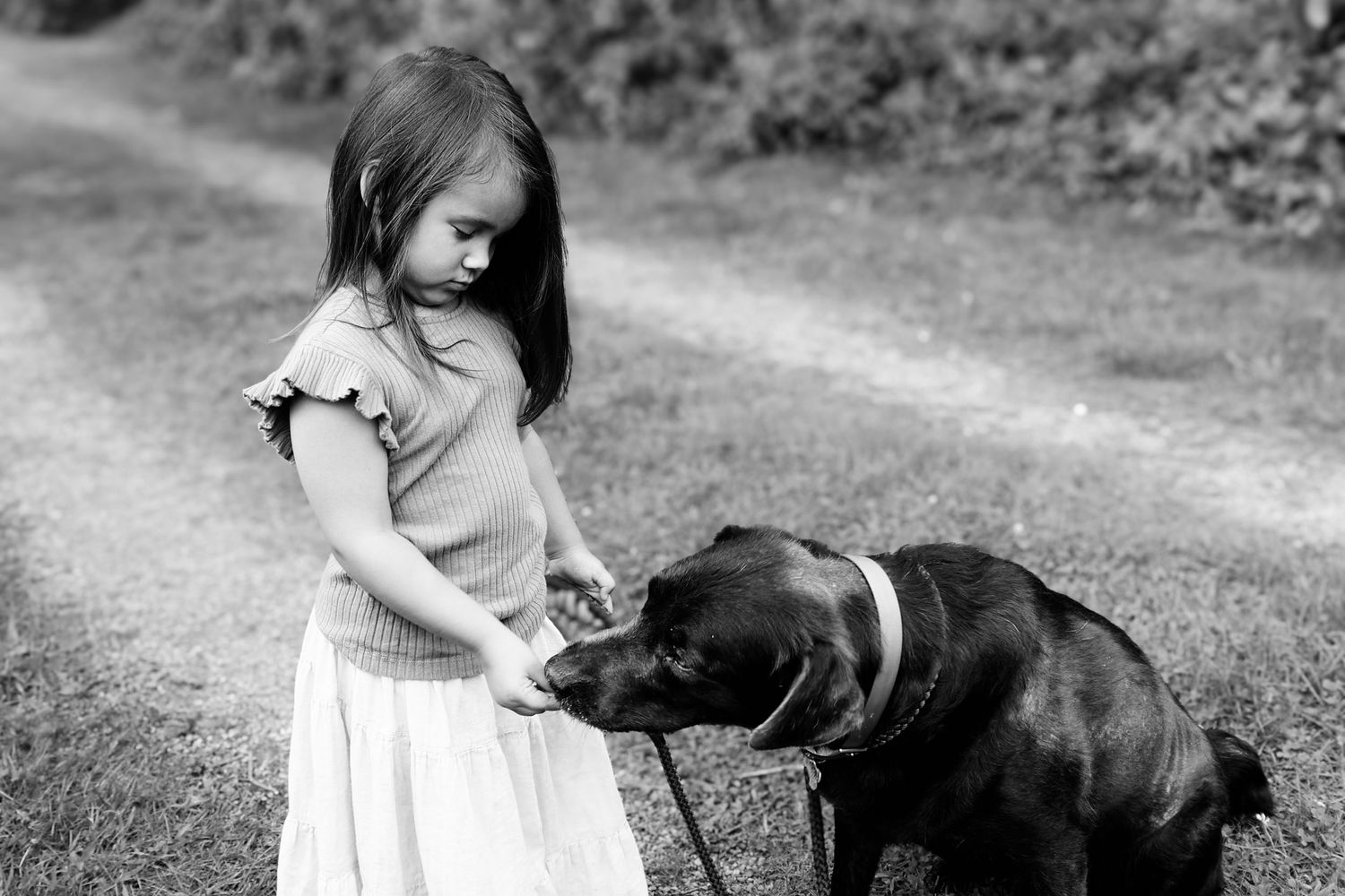 A black and white photo shows a young child in a dress gently petting a large black dog on a dirt path.
