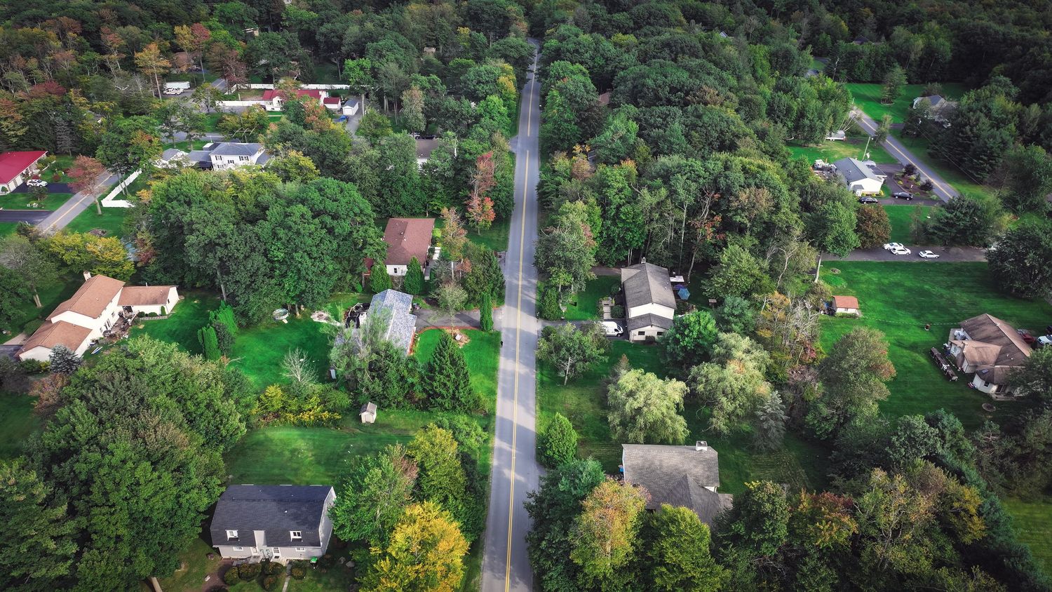 Aerial drone view of a lush green suburban neighborhood with tree-lined road and scattered residential homes.