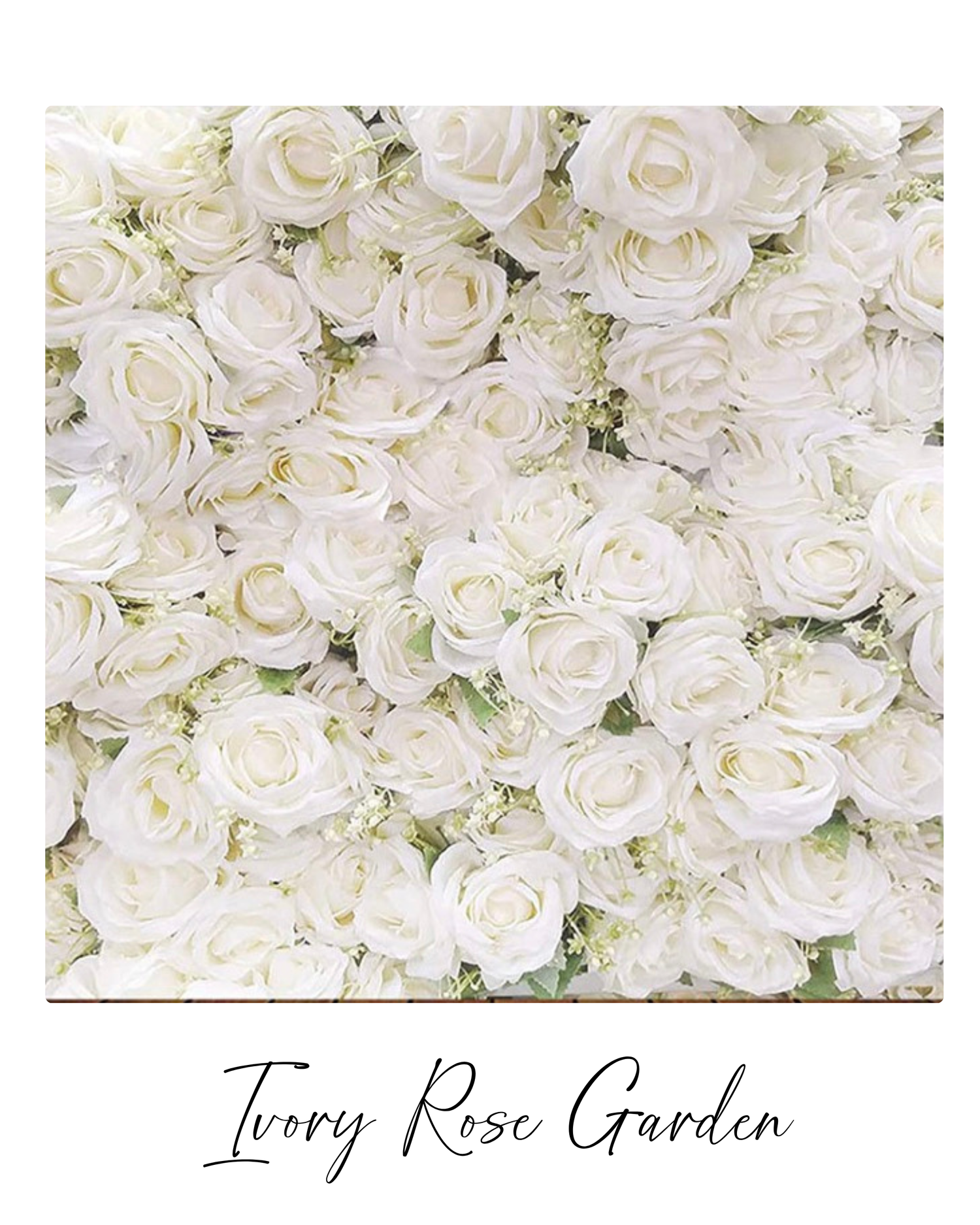 A luxurious arrangement of white roses with delicate green foliage creates an elegant floral backdrop.