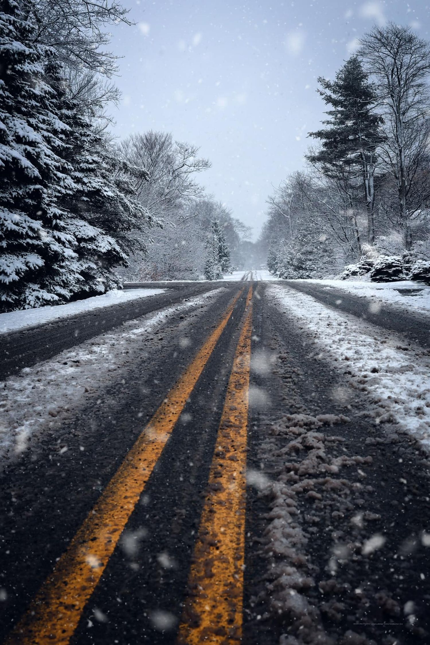 Snow-covered road with yellow double lines stretches through a winter forest landscape as snowflakes fall.