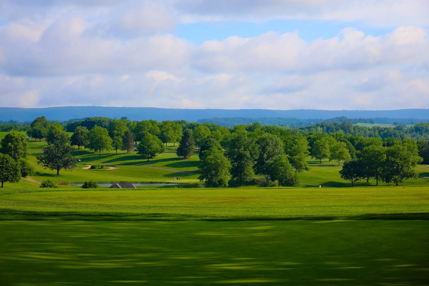 Rolling green hills and scattered trees create a pastoral landscape under cloudy skies in a scenic countryside view.