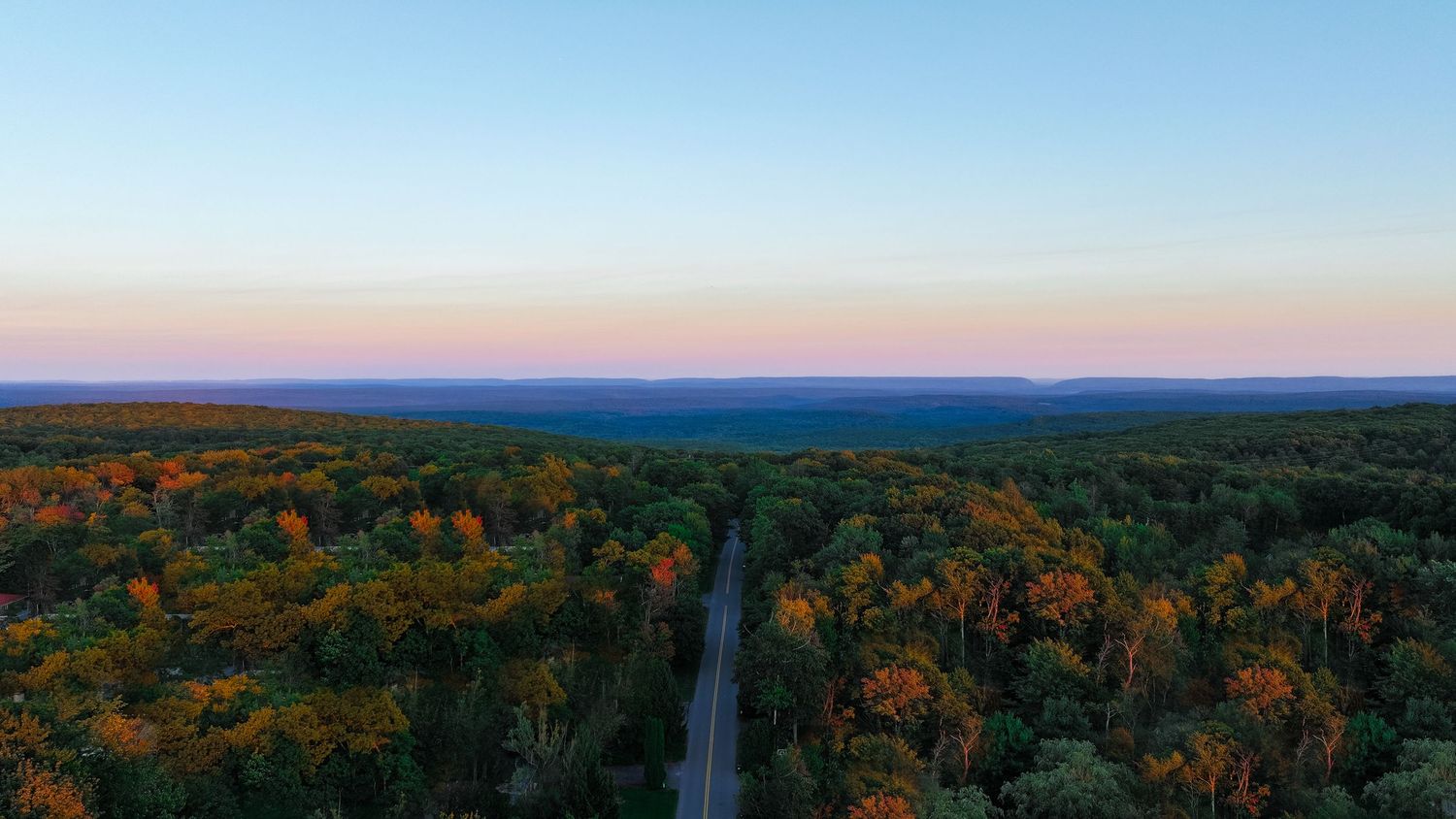 Panoramic aerial view of colorful autumn forest stretching to the horizon with a straight road cutting through.