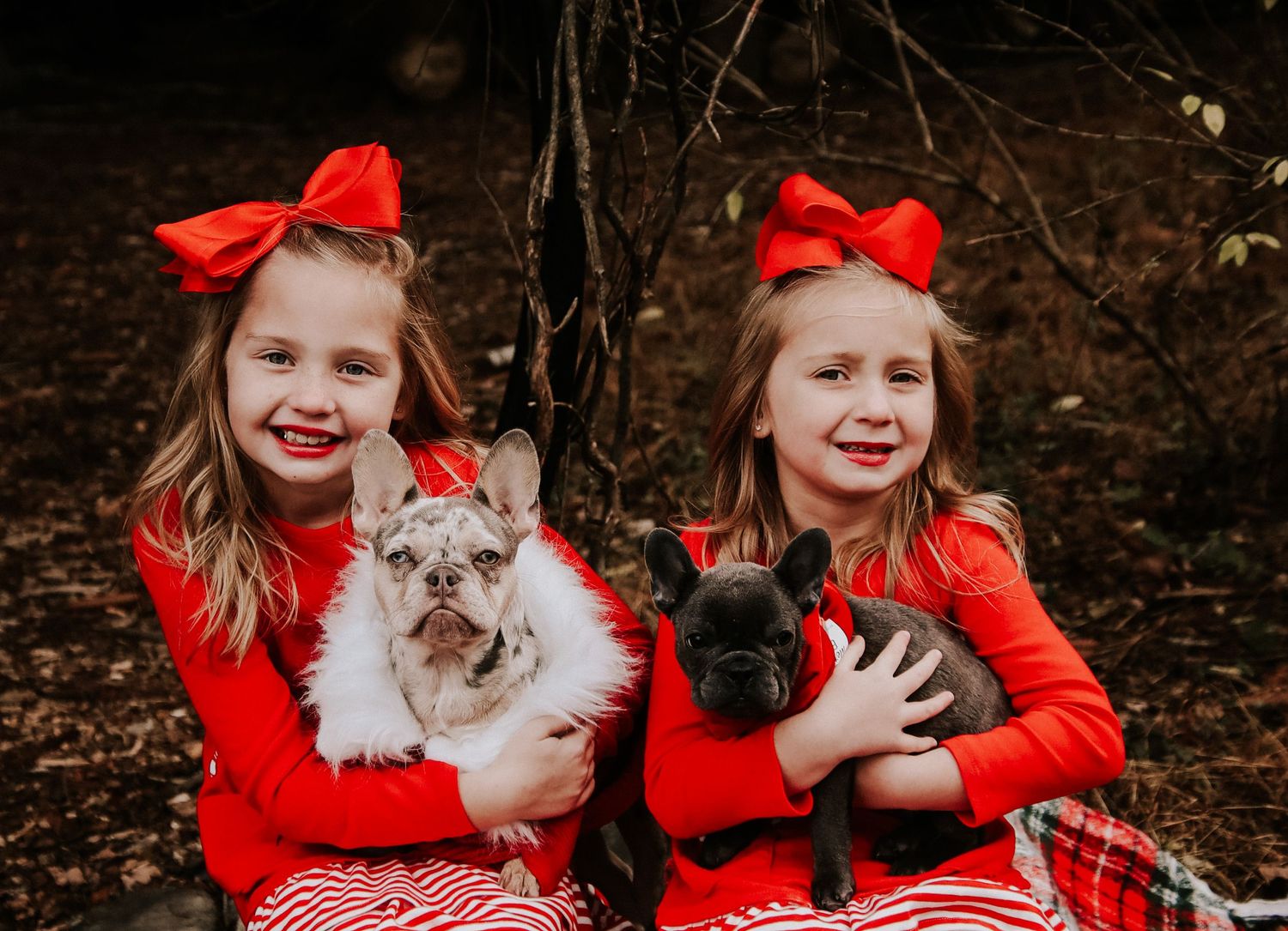 A series of candid outdoor photos showing someone in a red dress holding a fluffy gray cat in a natural setting.