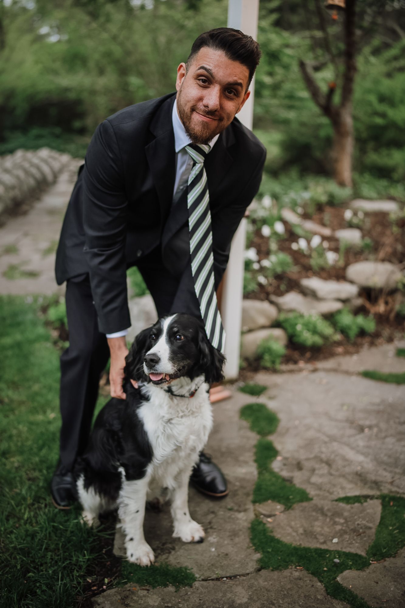 A man in a dark suit and striped tie bends down to pet a black and white Springer Spaniel dog outdoors.