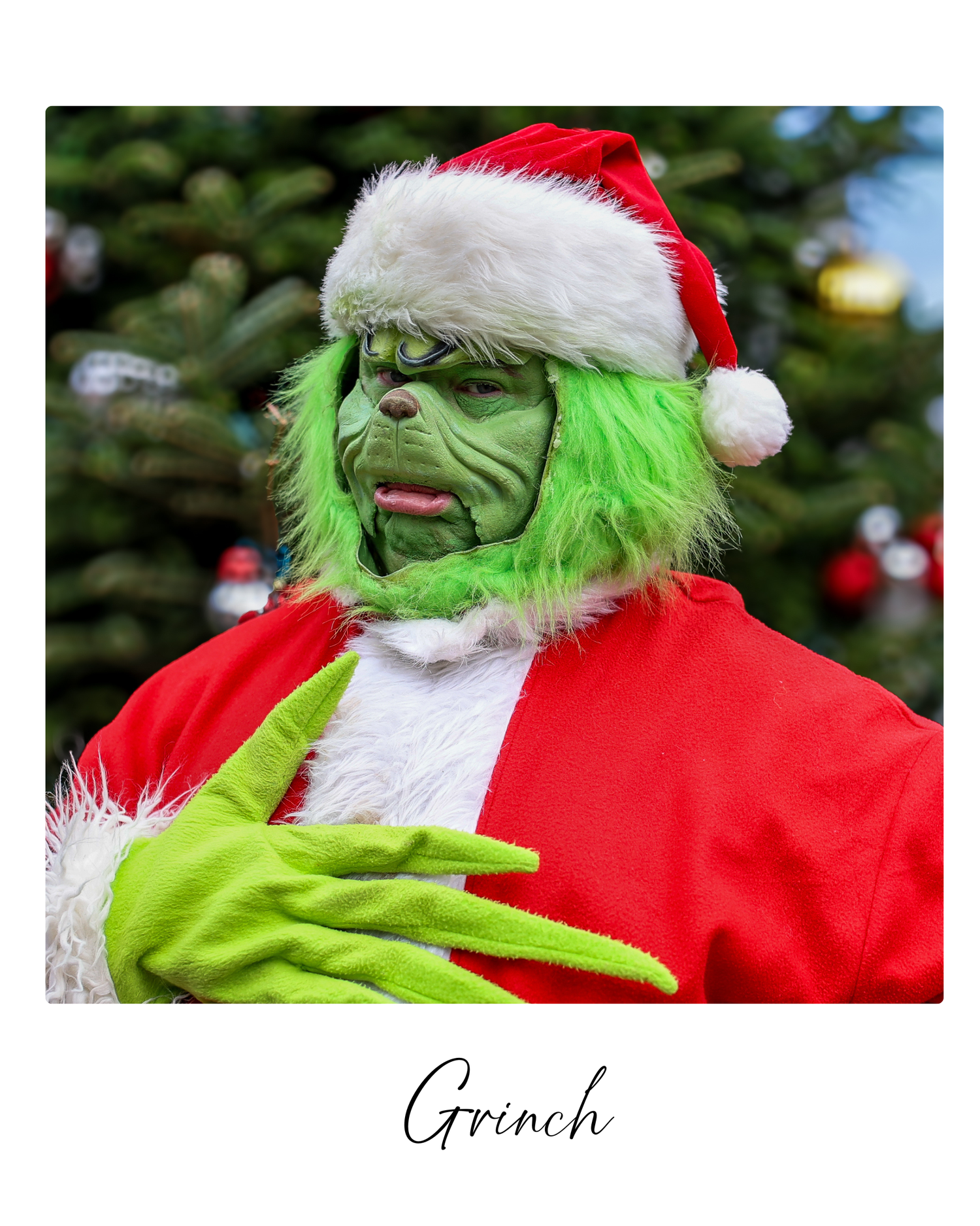 A person in a Grinch costume with green fur and Santa hat gestures against a Christmas tree background.