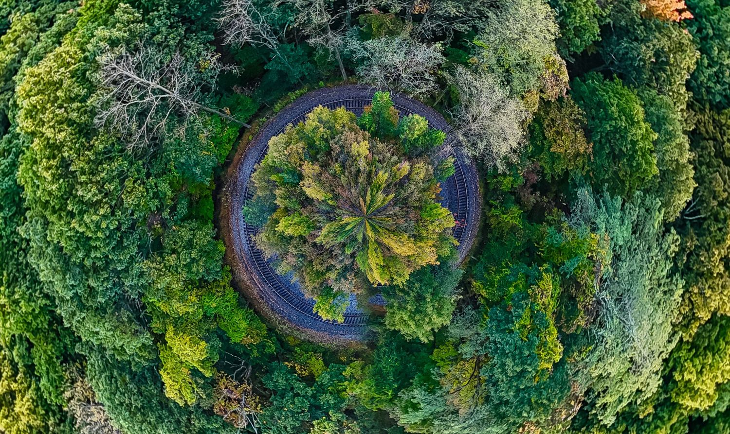Aerial view of a circular road surrounding a lush green tree canopy in a dense forest park.