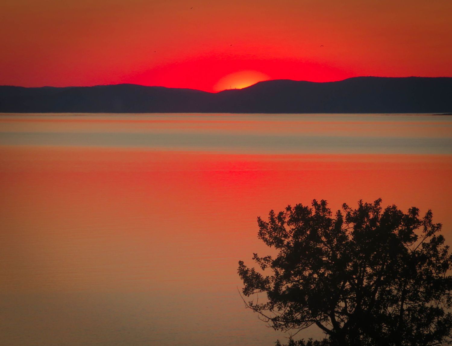 Dramatic red sunset behind mountain silhouette with tree shadows in the foreground.