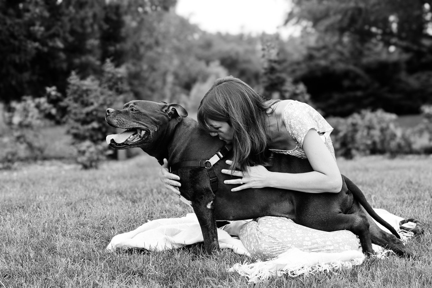 A playful black dog and companion share a joyful moment together on the grass in black and white photography.