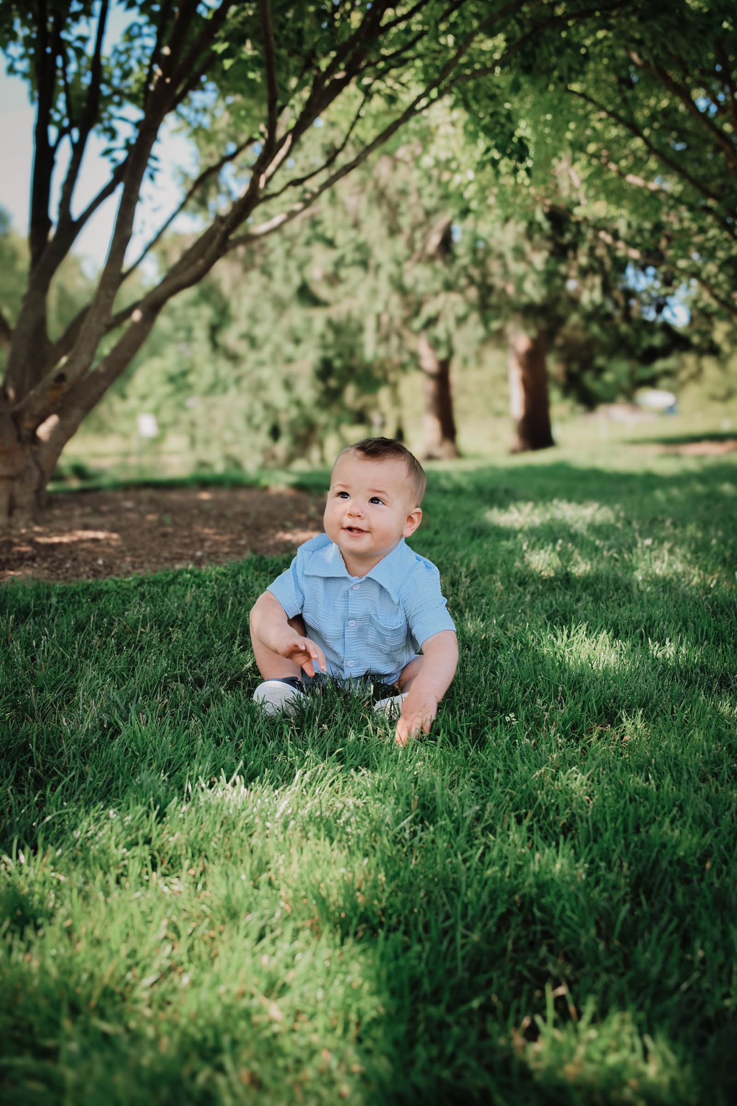 An adorable baby boy in a blue outfit sits on green grass beneath shady trees in a park.