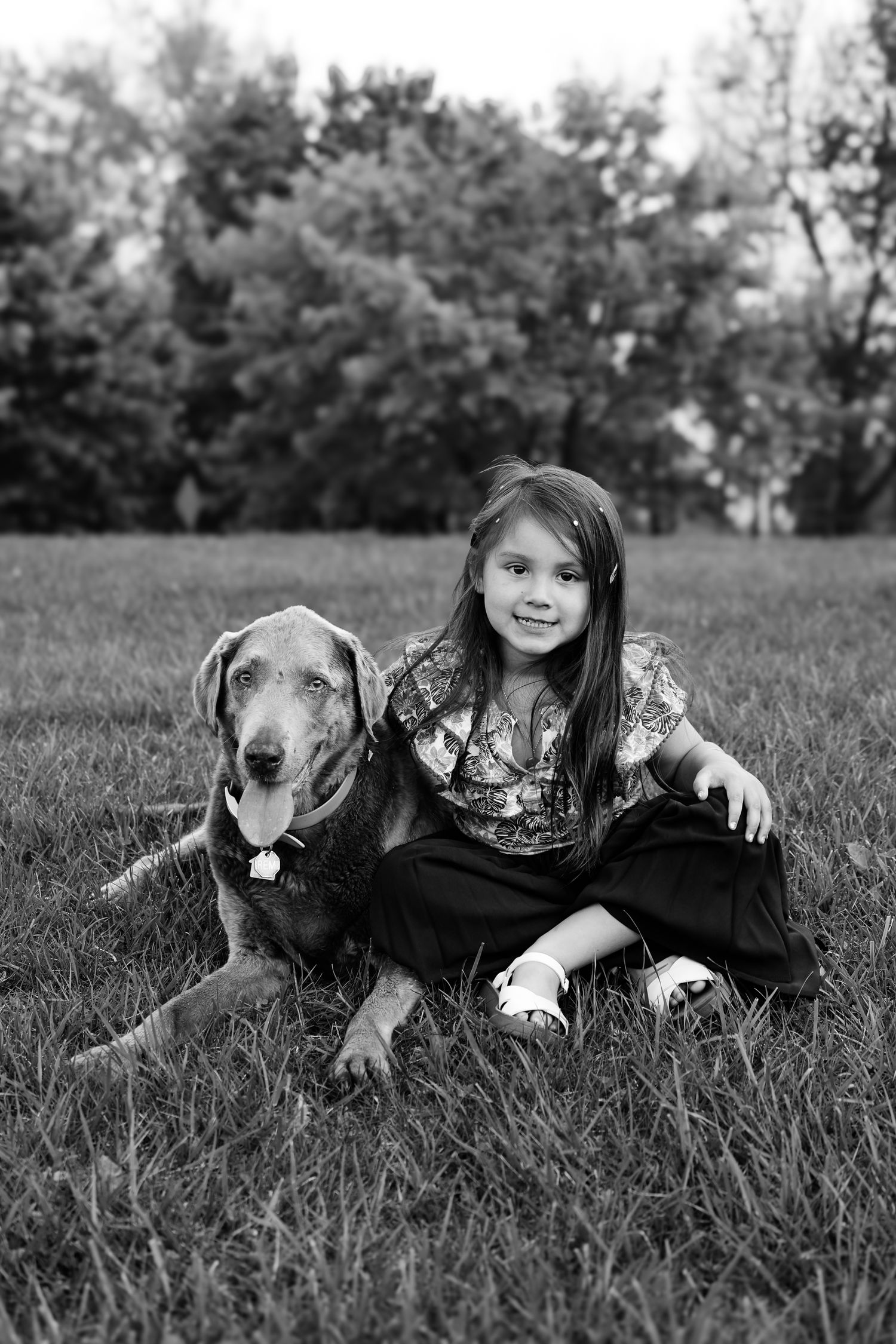Black and white photo sequence shows a child lying in grass with two dogs in a playful outdoor setting.