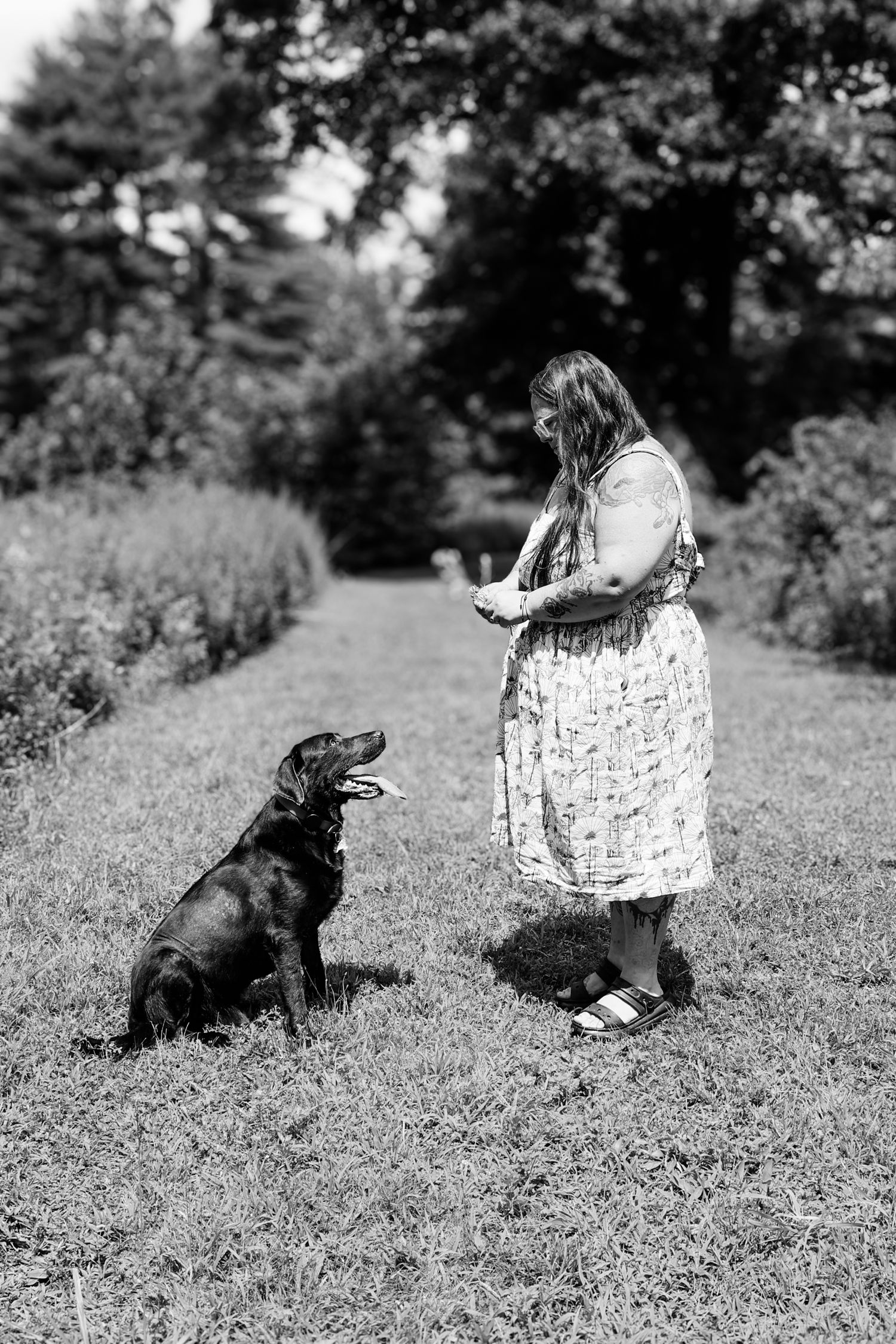 A black and white photo sequence showing someone in a dress playing with a dark-colored dog on grassy ground.
