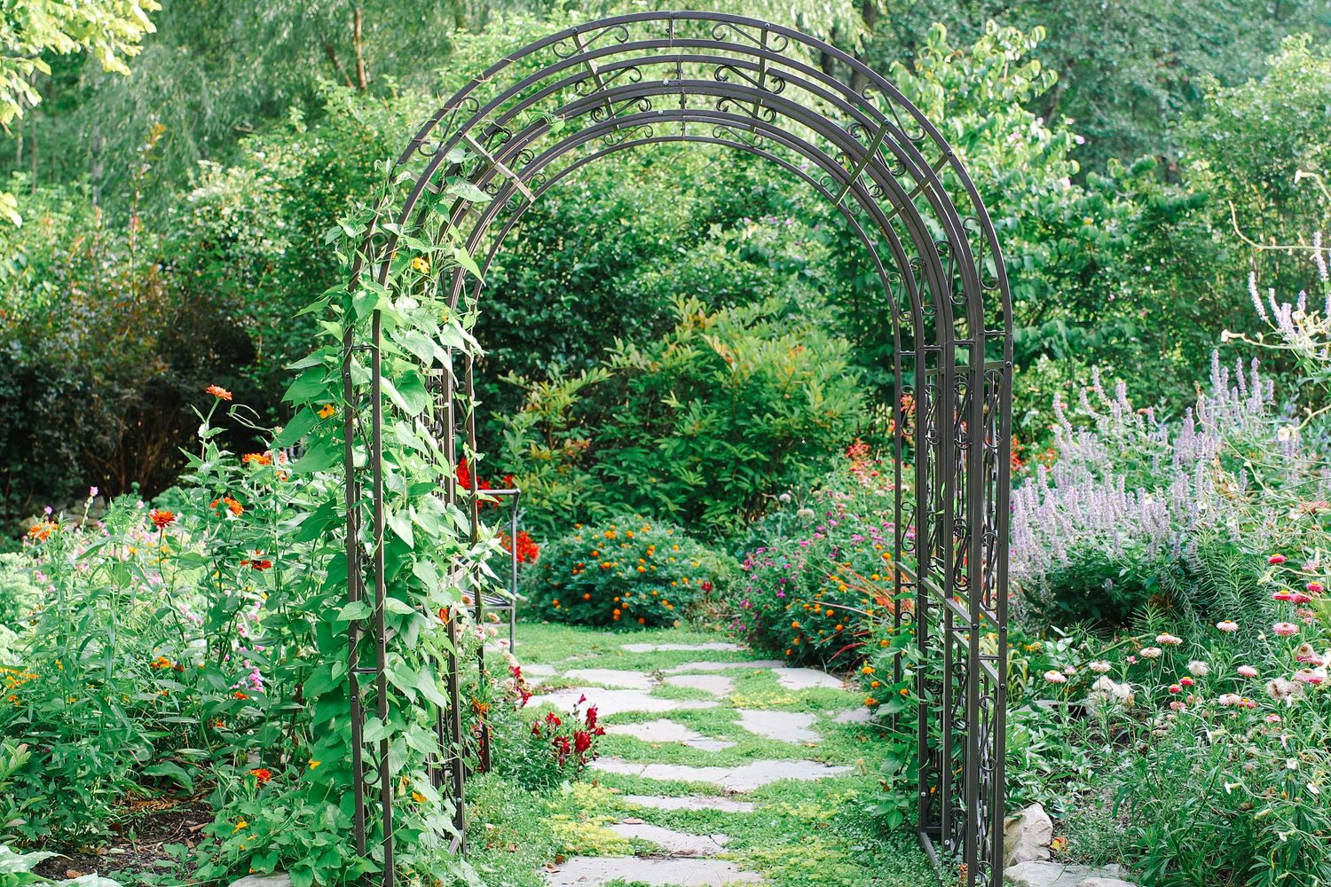 A winding garden path leads through lush greenery and flowering plants under a wooden arch trellis.