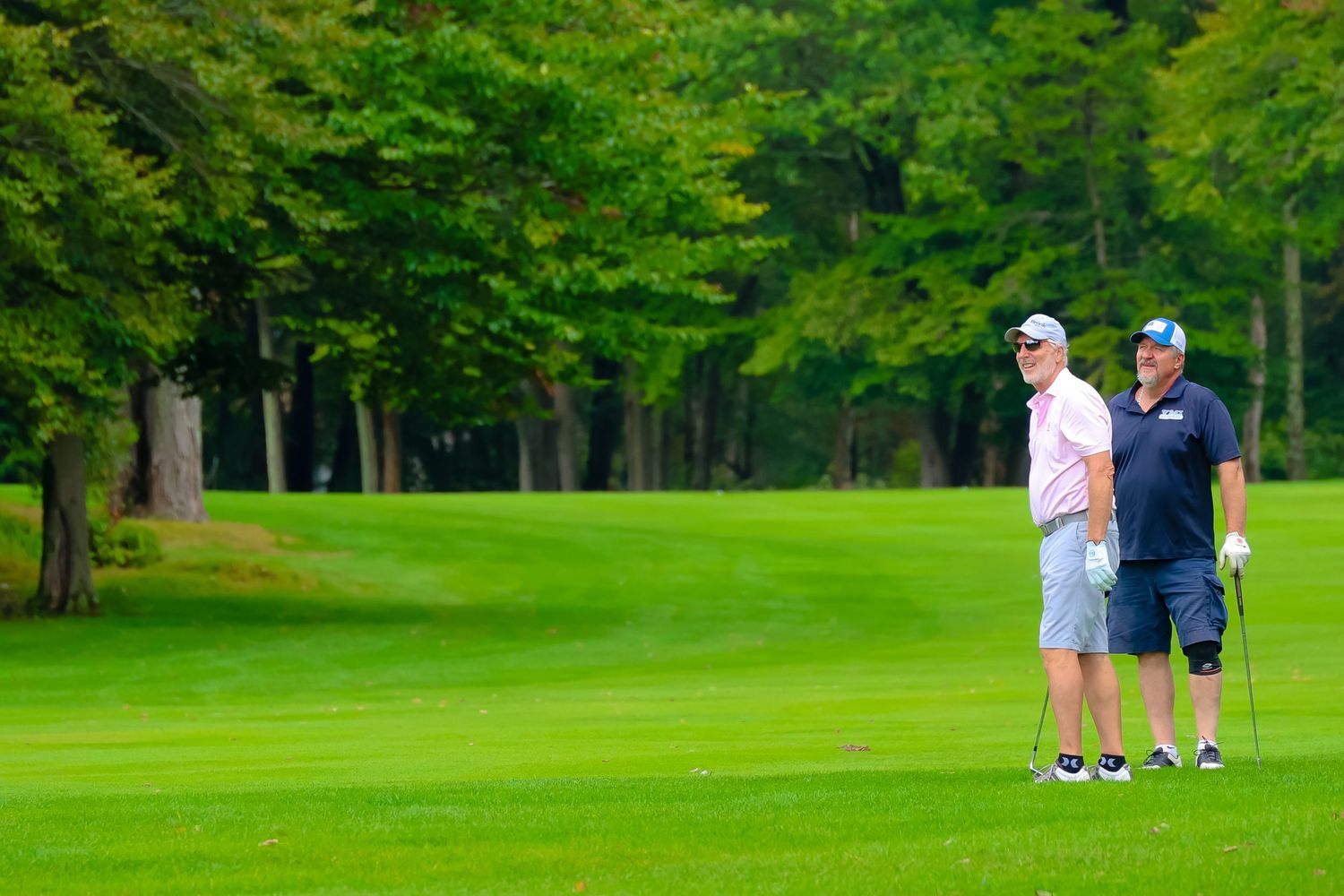 Two golfers stand on a lush green fairway surrounded by trees on a beautiful summer day.