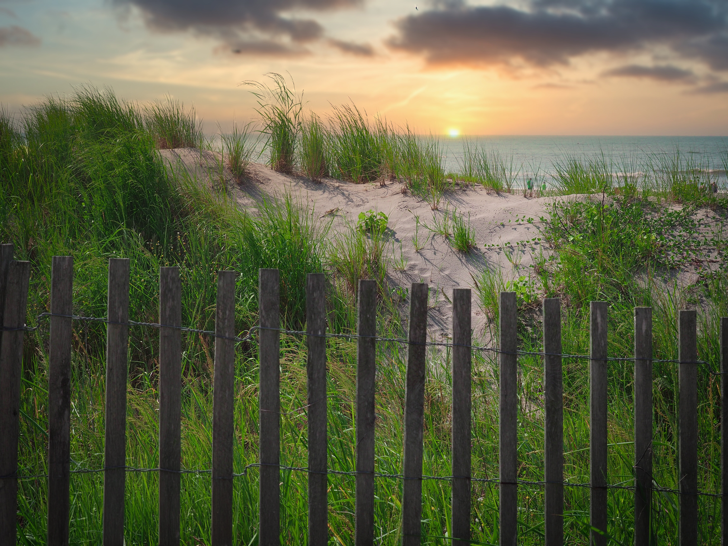 Wooden fence along sandy beach dunes with lush green grass at sunset over calm ocean waters.