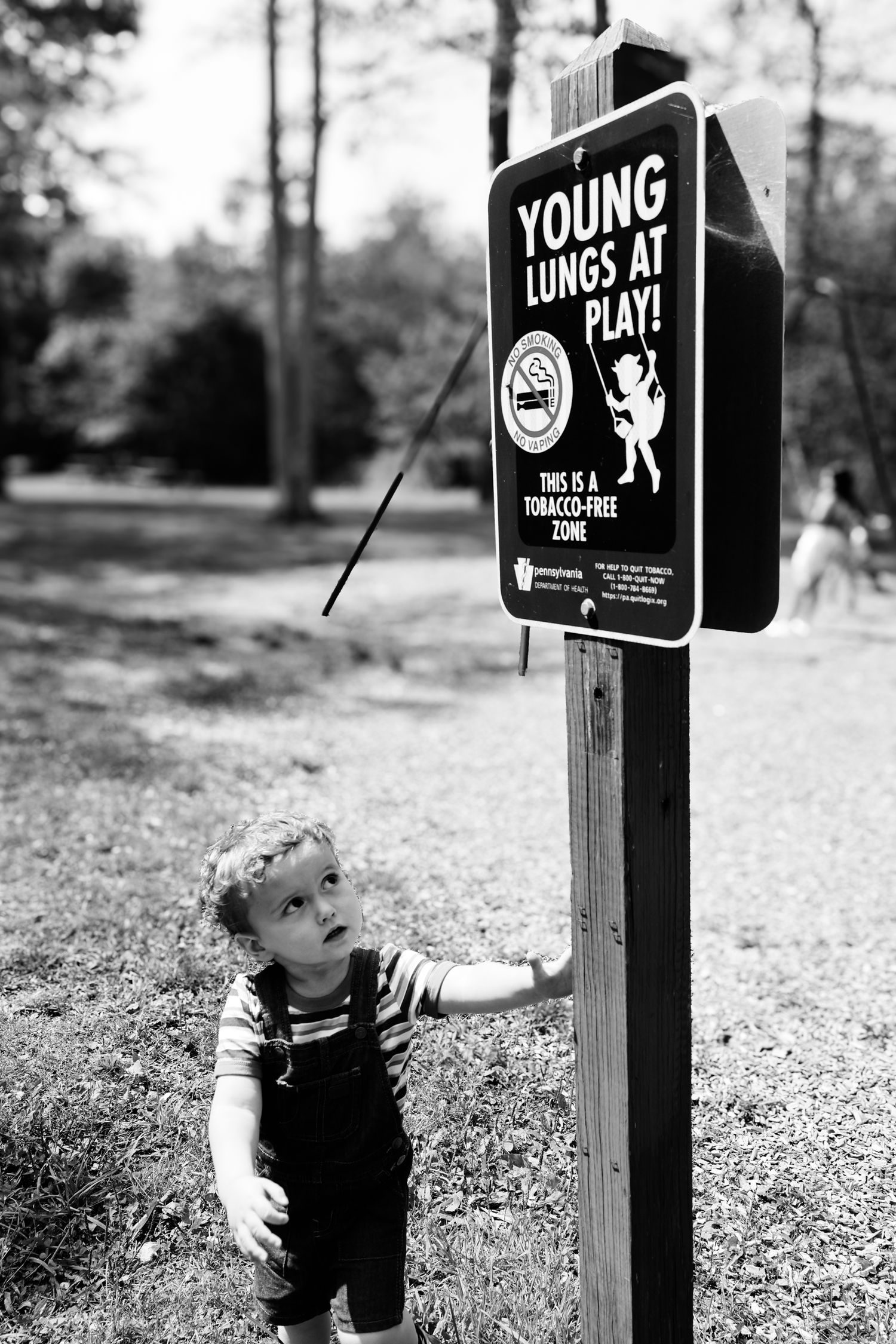 A series of black and white photos showing a child looking up at park signage in an outdoor setting.