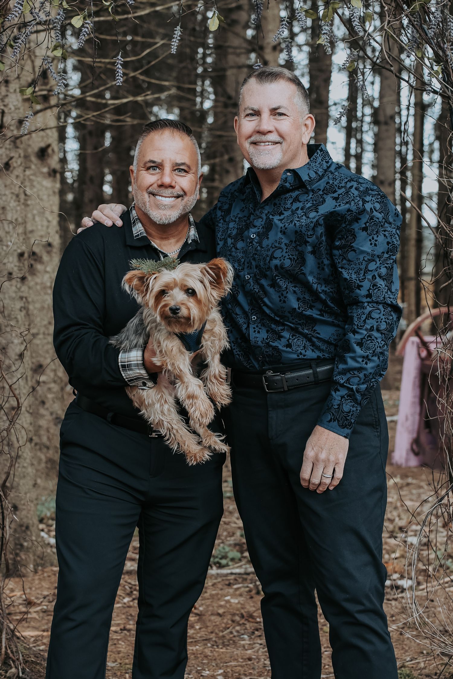 A small brown Yorkshire Terrier dog poses with people wearing black clothing in a wooded forest setting.