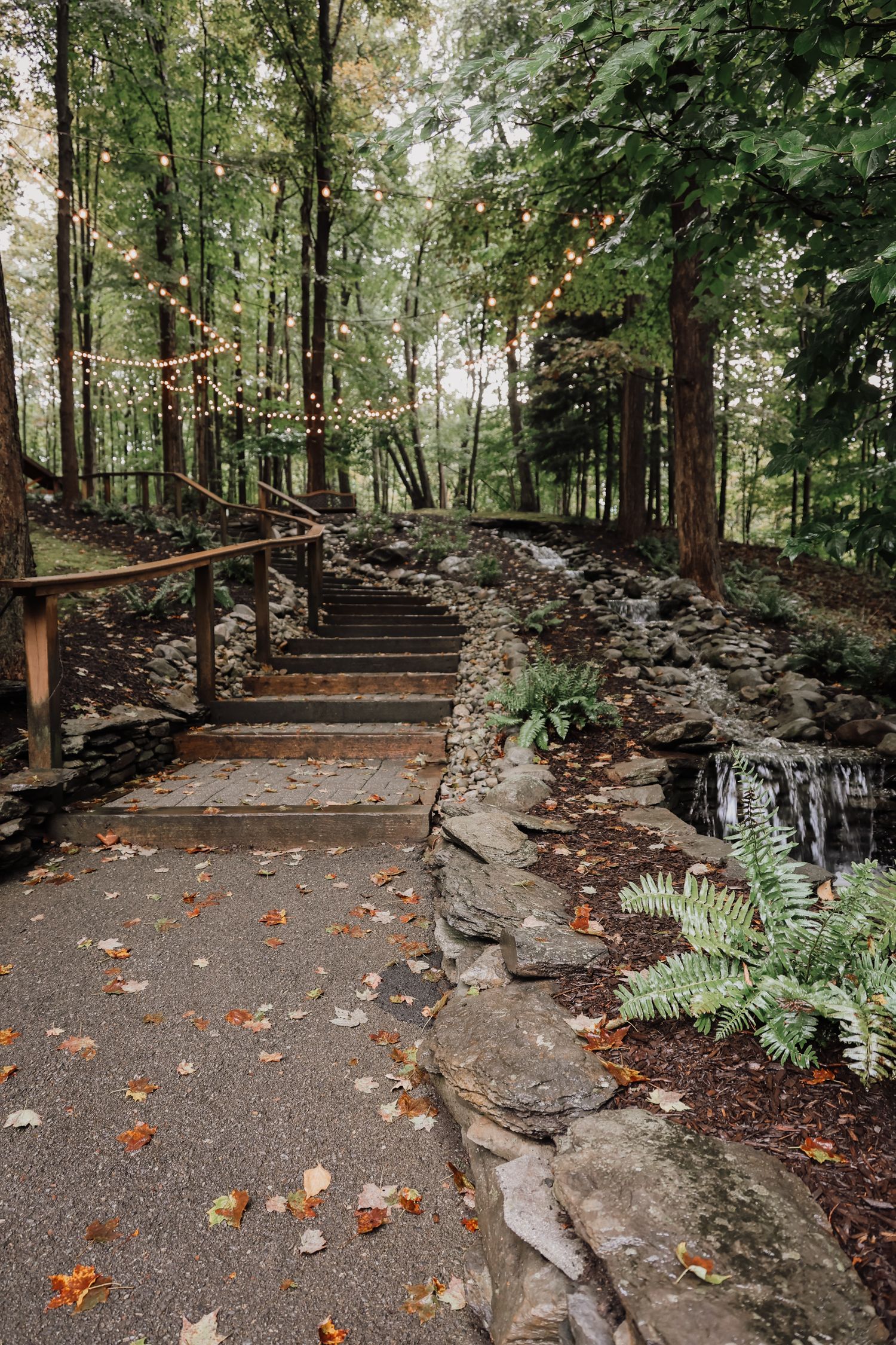 A winding stone pathway through a lush forest garden with scattered autumn leaves and rustic rock borders.