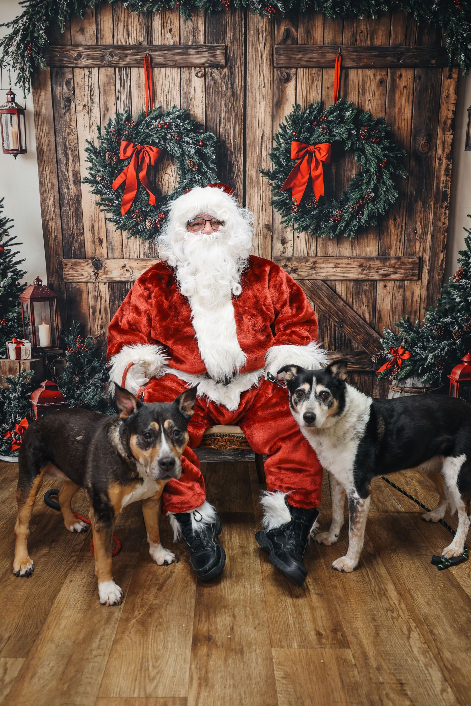A festive holiday photo series with dogs and Santa Claus posing together against a rustic wooden backdrop with wreaths.